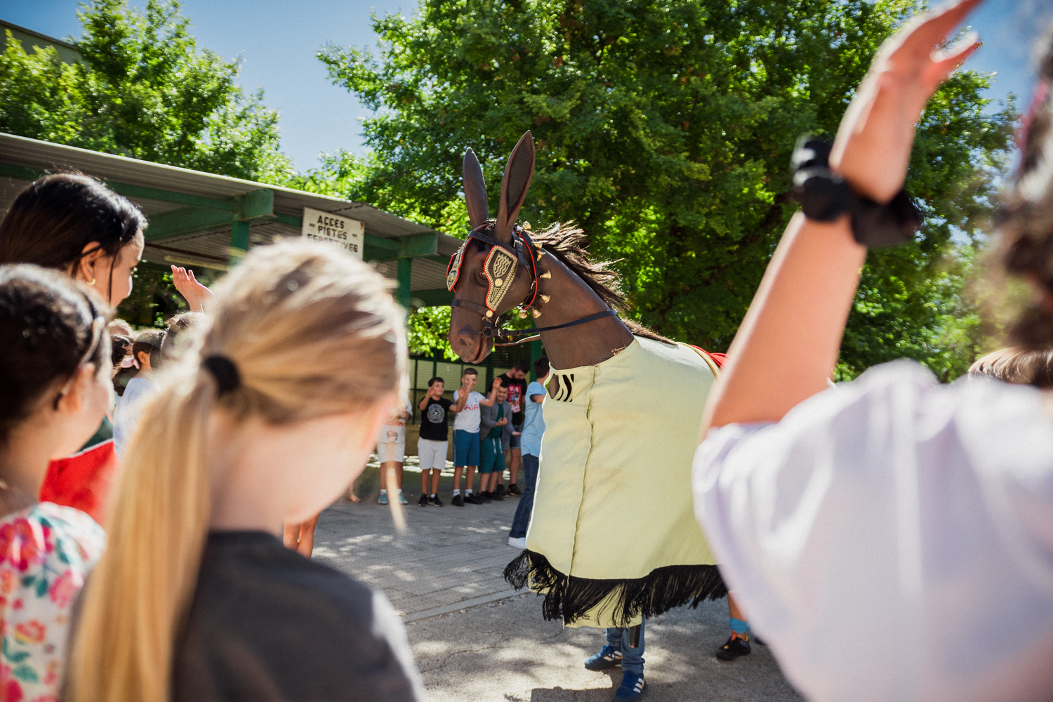 ST24-MulassaEscoles-LOW-25-06676