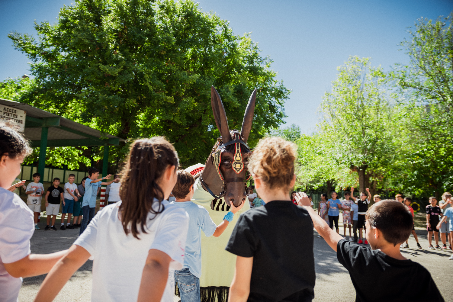 ST24-MulassaEscoles-LOW-26-06688