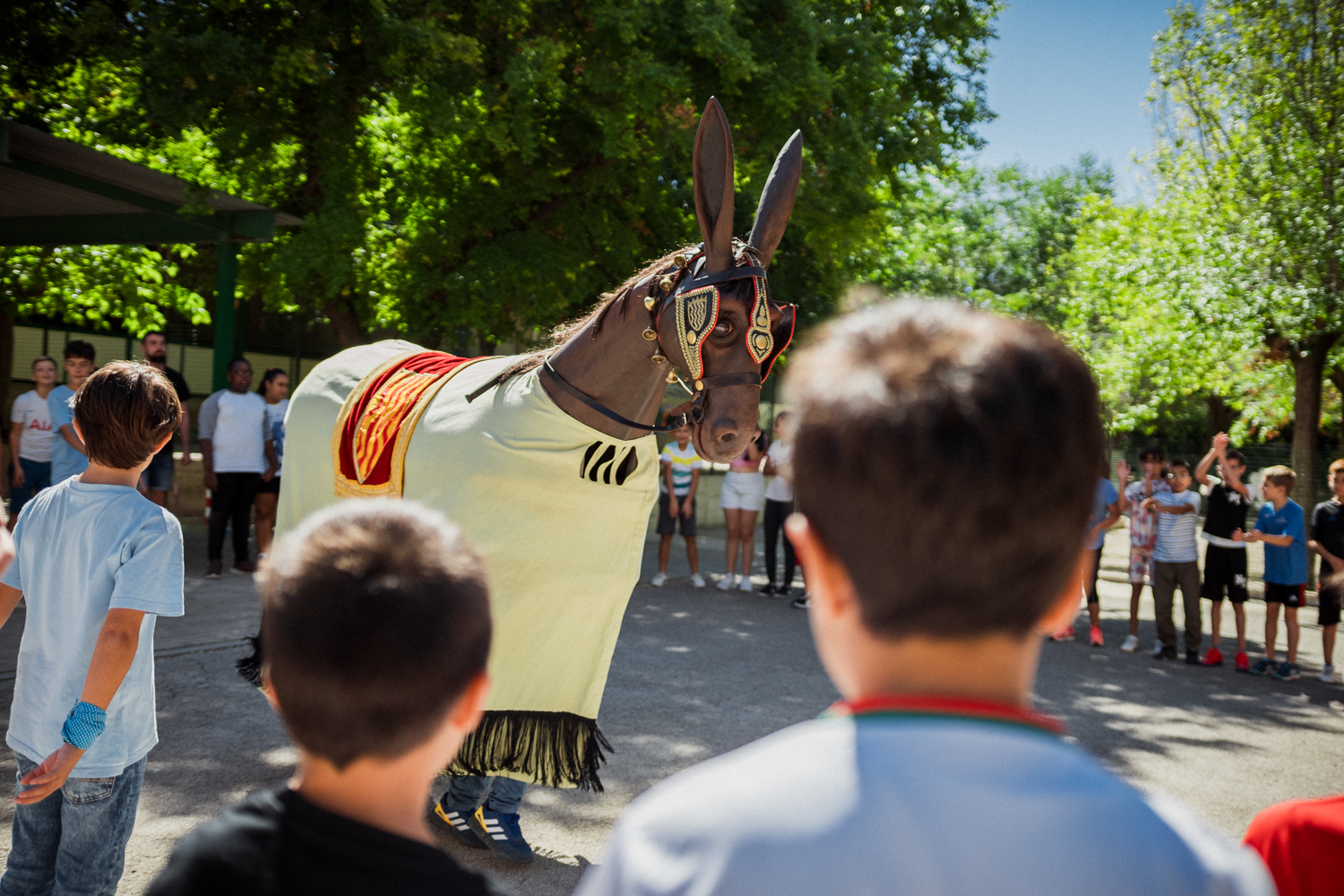 ST24-MulassaEscoles-LOW-28-06723