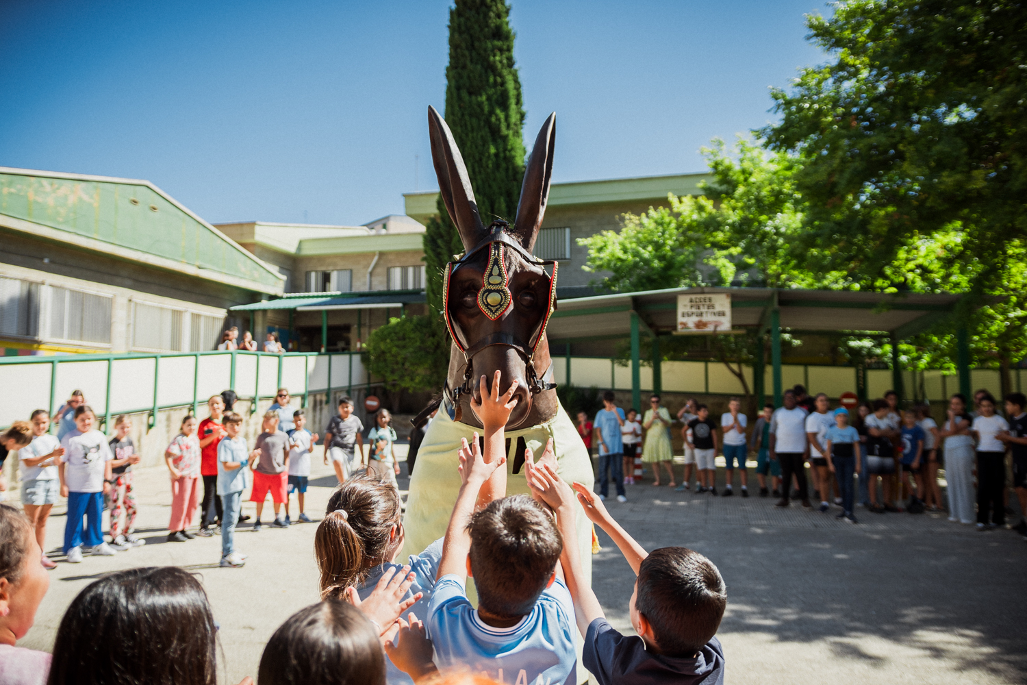 ST24-MulassaEscoles-LOW-30-06755