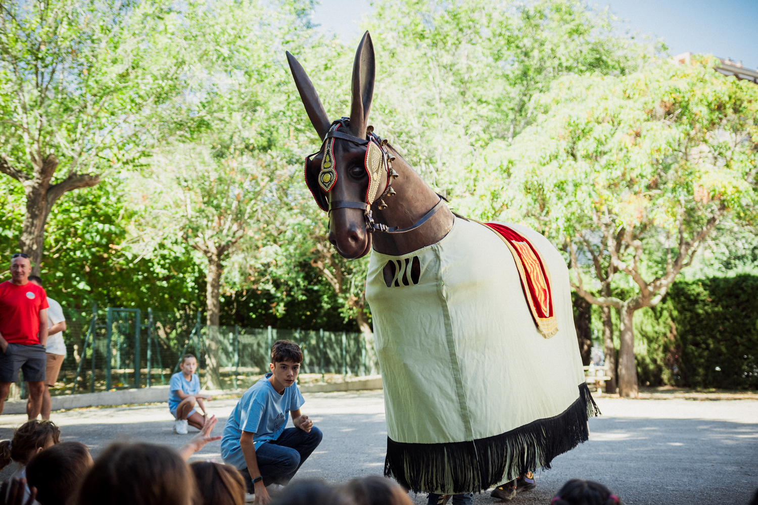 ST24-MulassaEscoles-LOW-7-06330