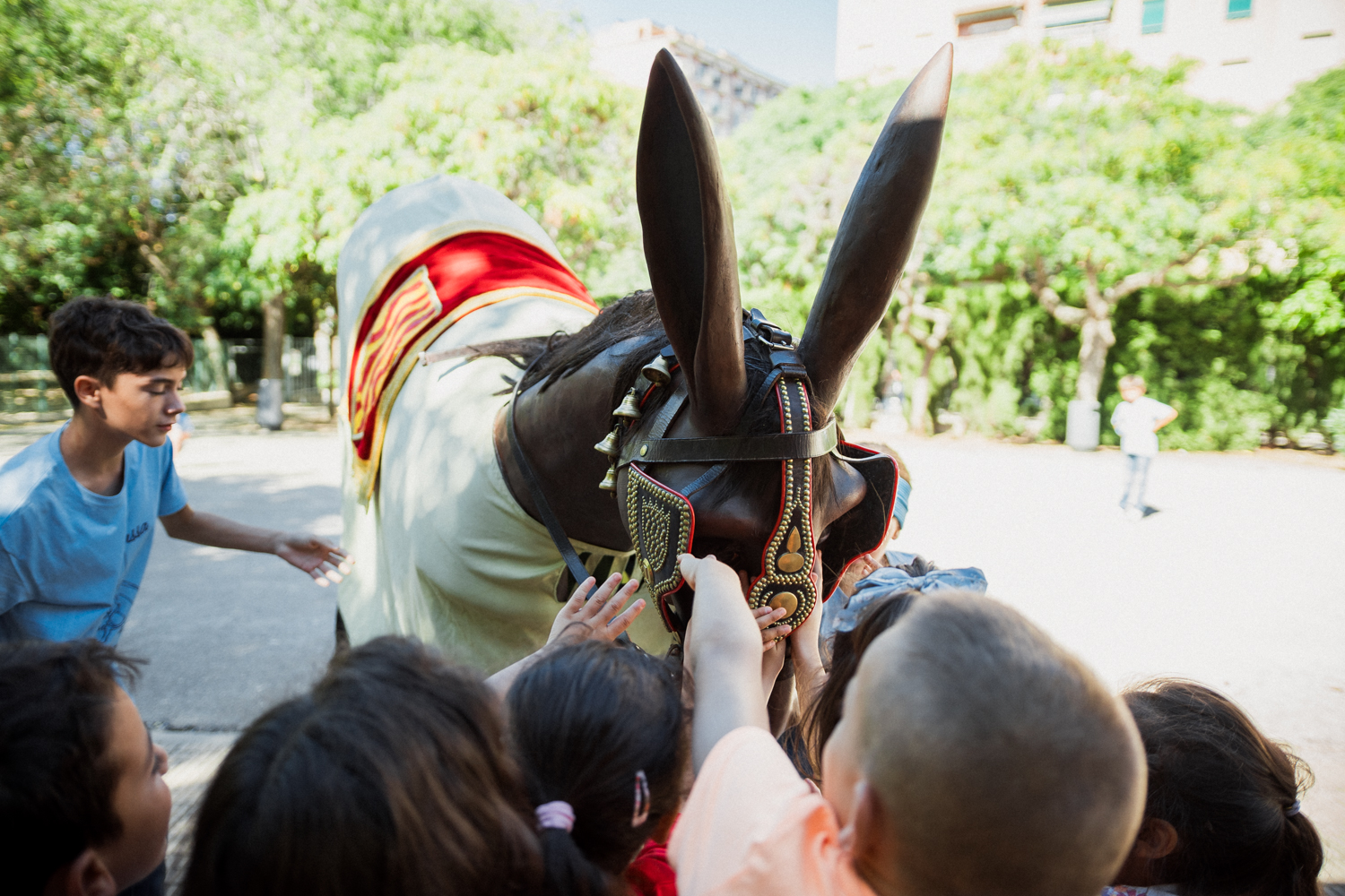 ST24-MulassaEscoles-LOW-8-06340