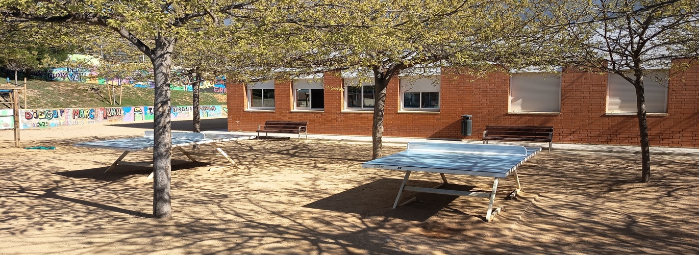 Pati primària