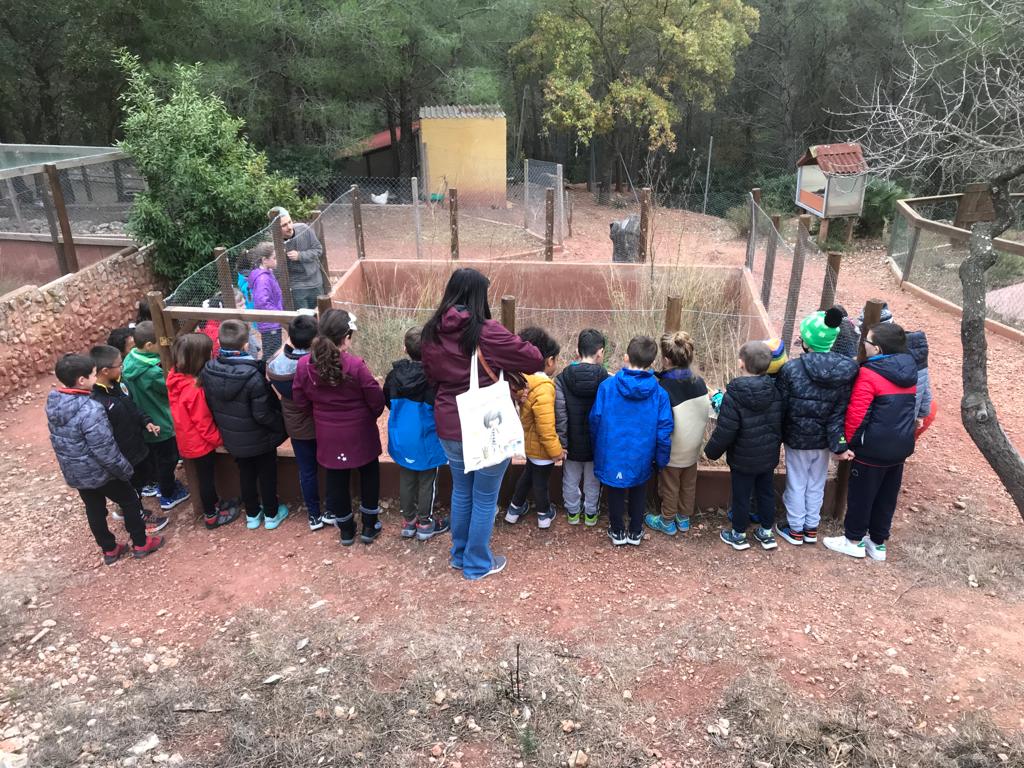 PHOTO-2022-12-09-15-07-23 (1)