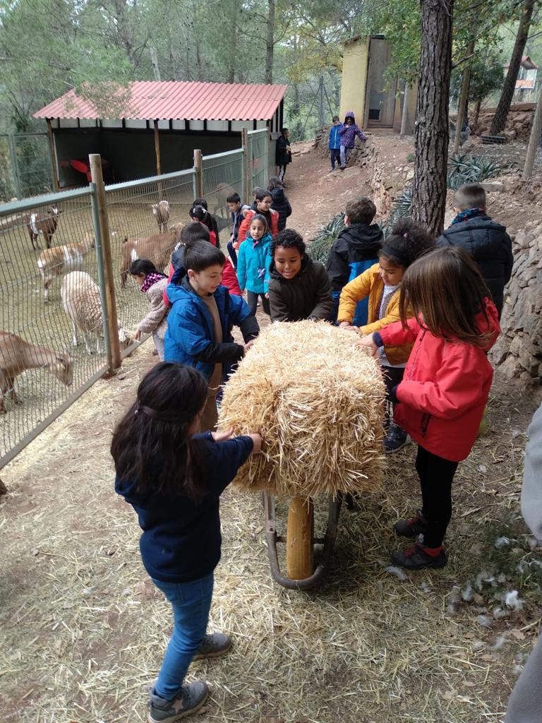 PHOTO-2022-12-09-15-08-14 (1)