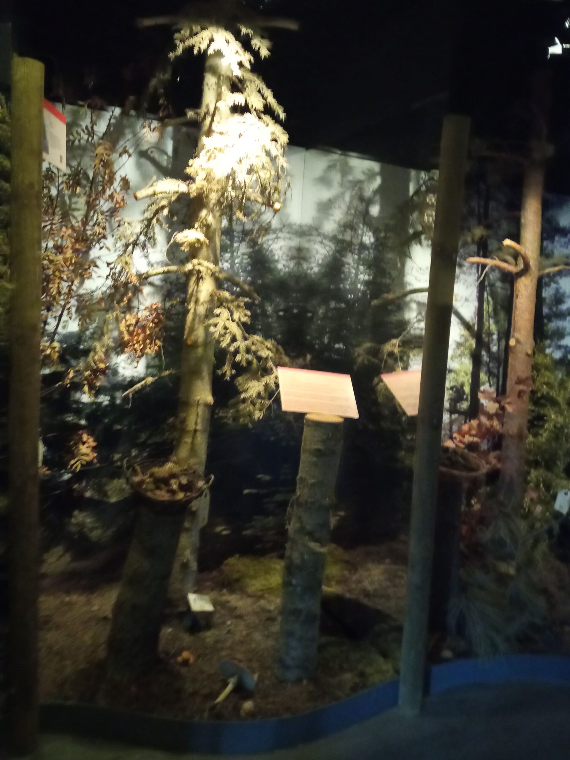 El museu del Parc de Cadí