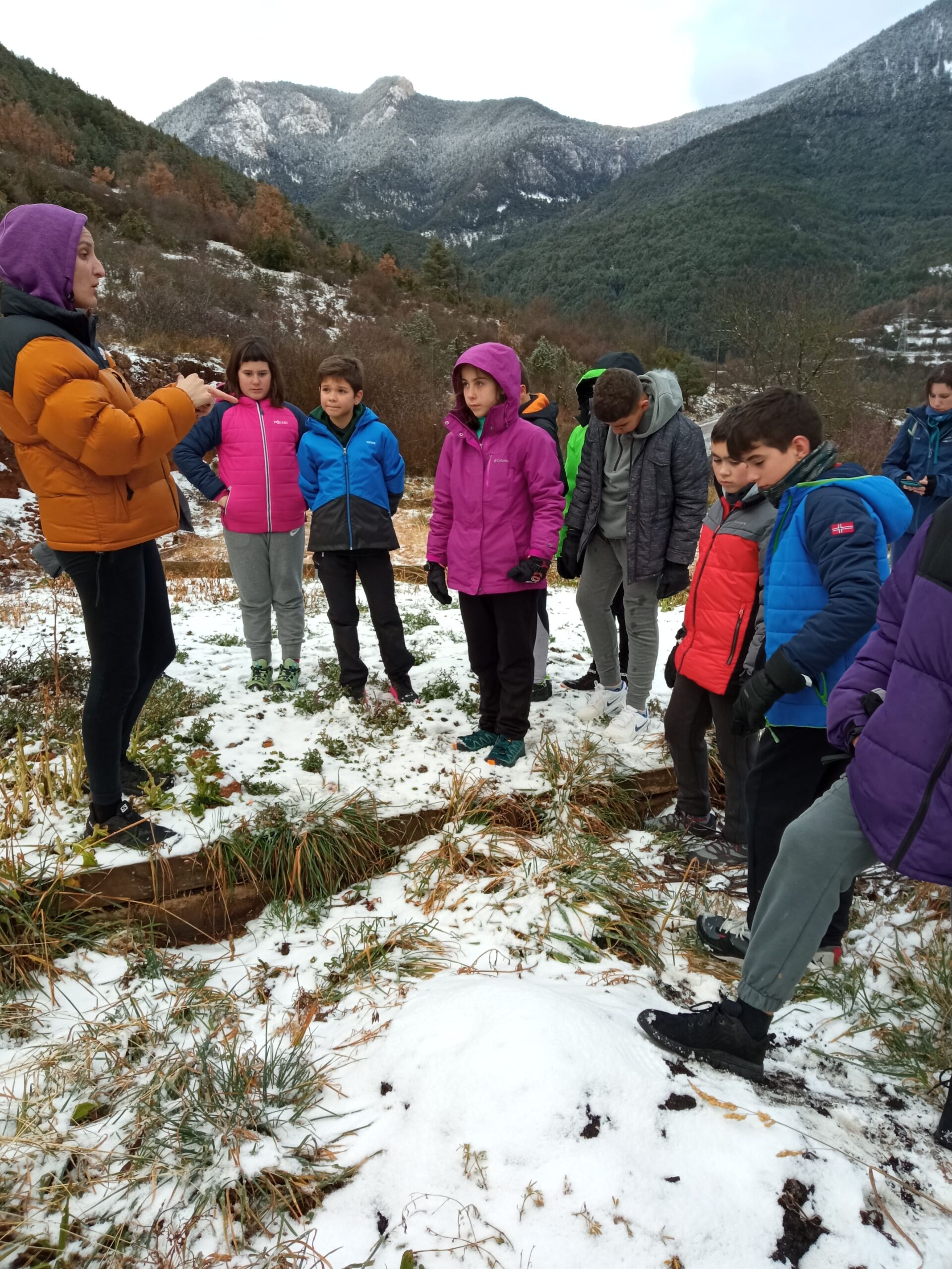 Explicació de l'Anna