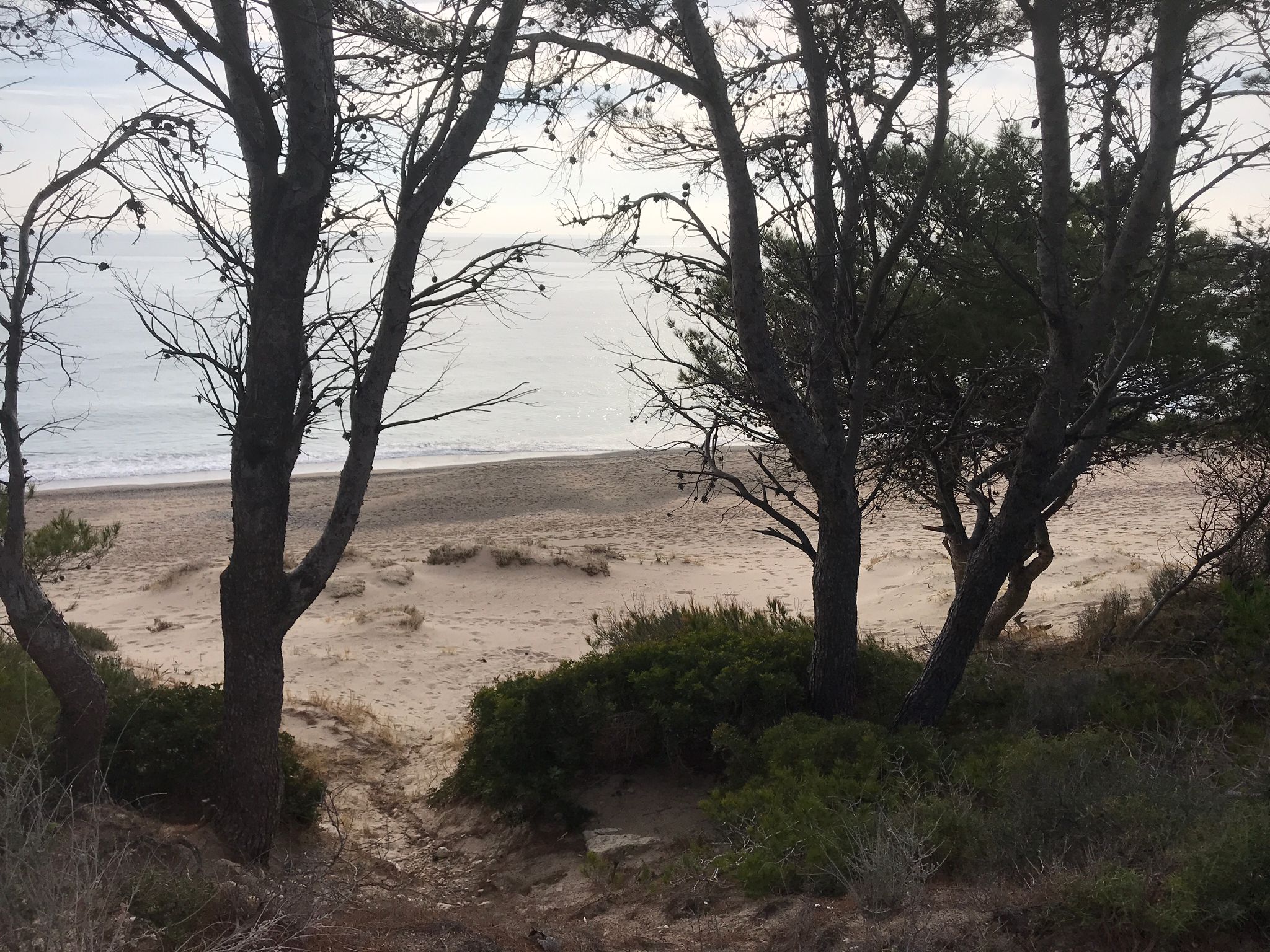 PHOTO-2023-02-16-20-27-20