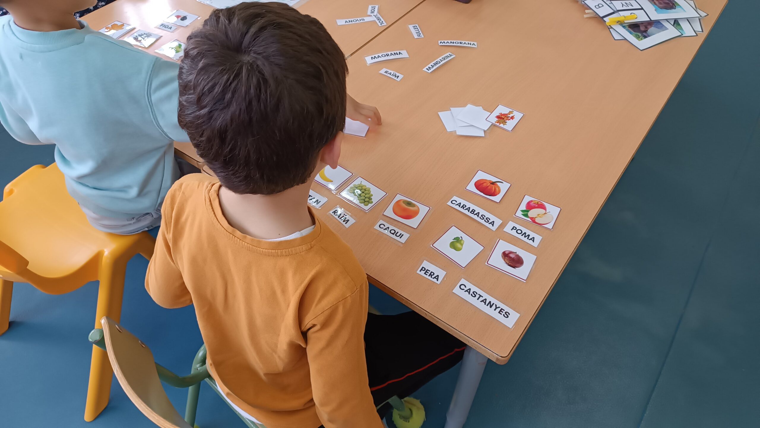 IMG_20231116_103327-min