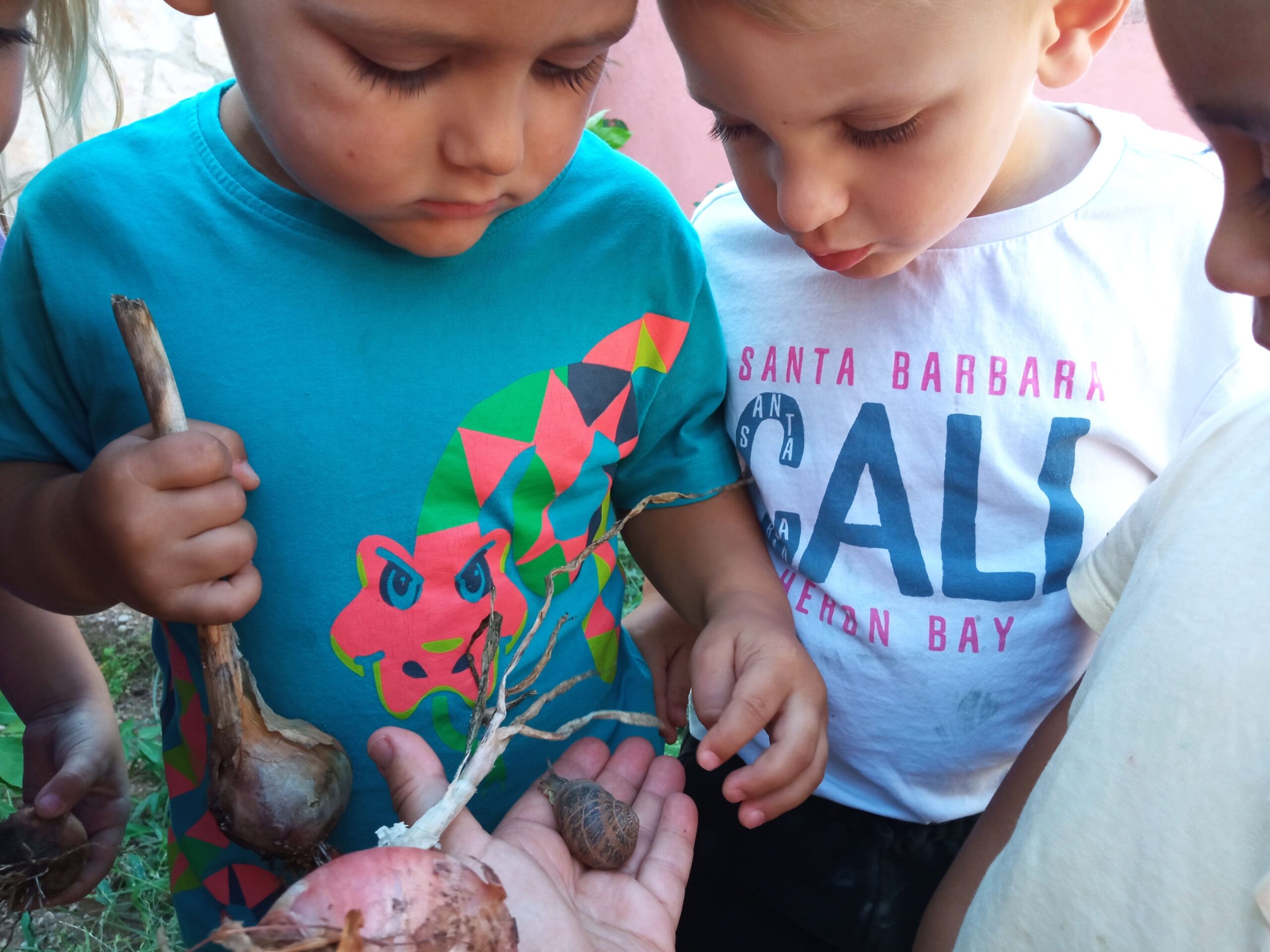 IMG_20240910_130026 (1)