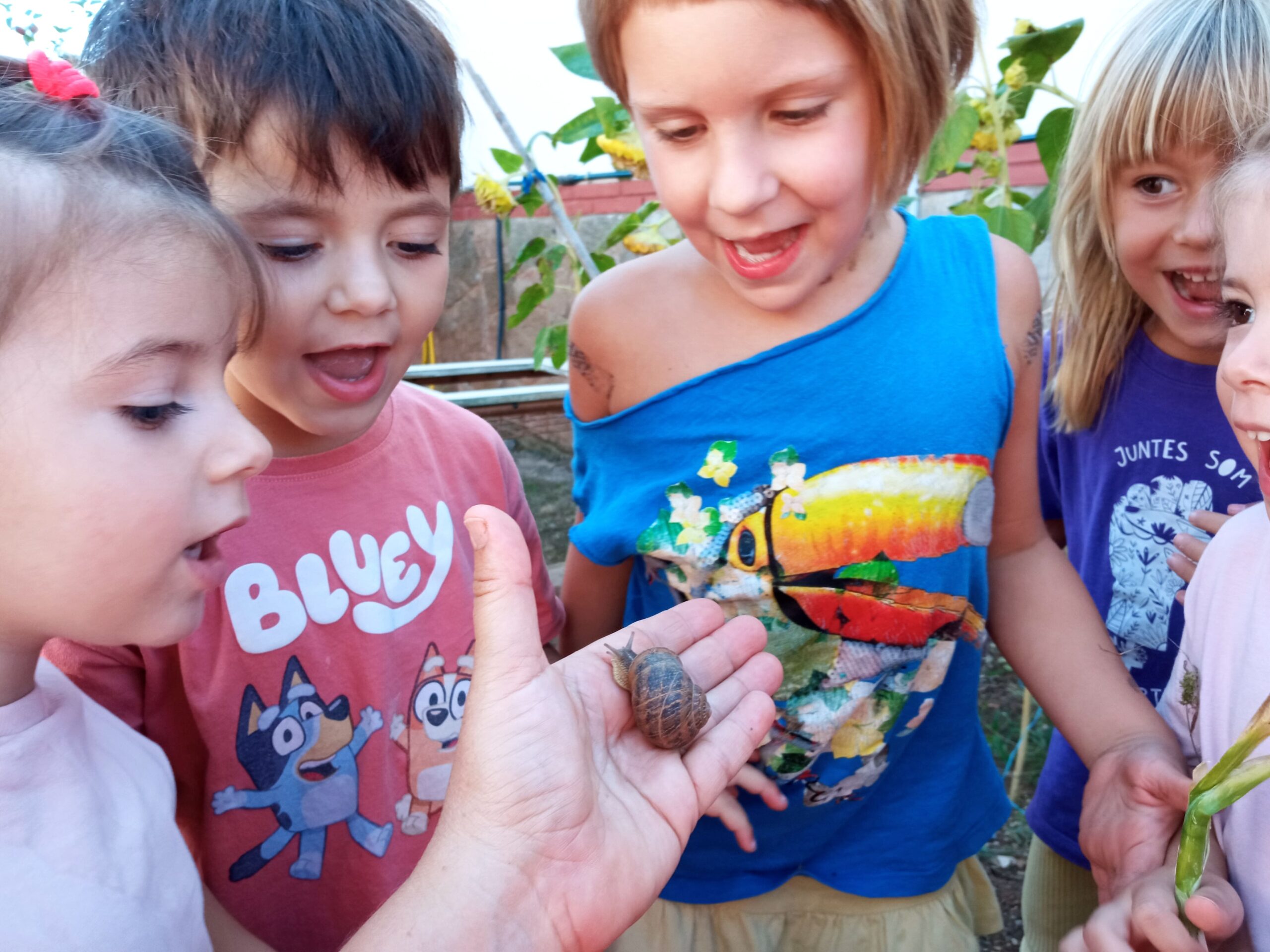 IMG_20240910_130059 (2)