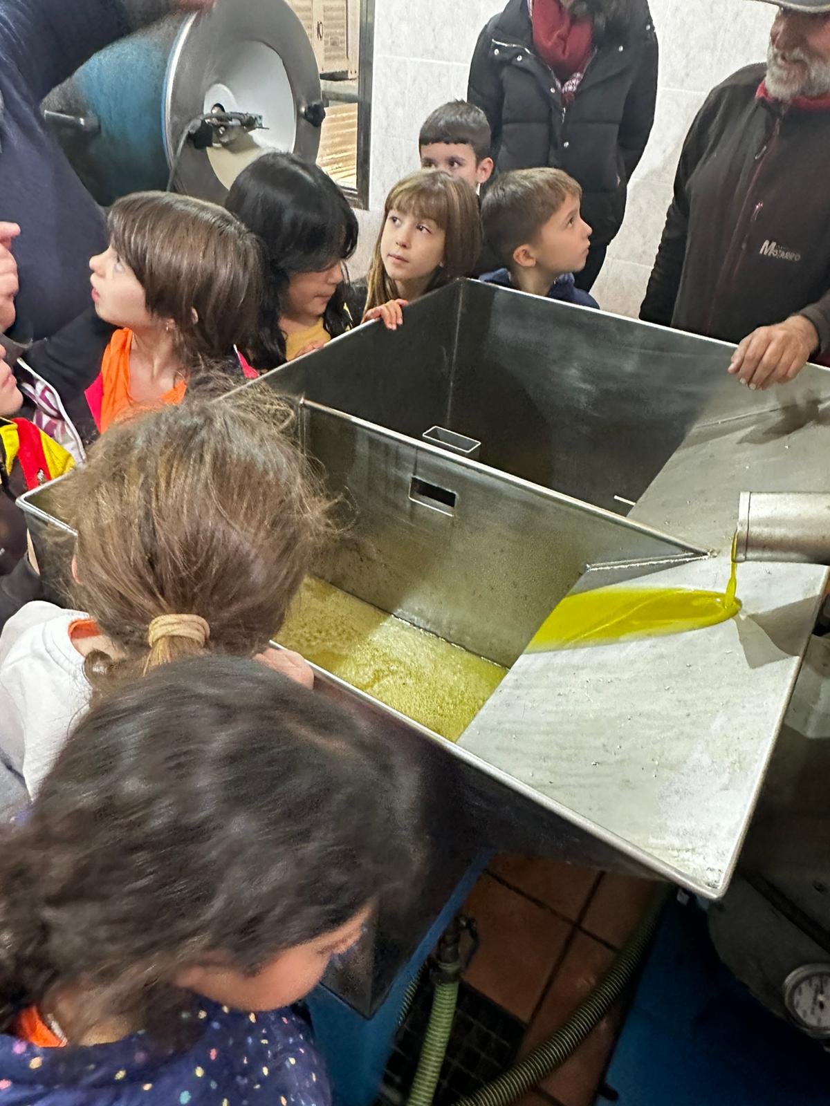 PHOTO-2024-11-26-16-33-42