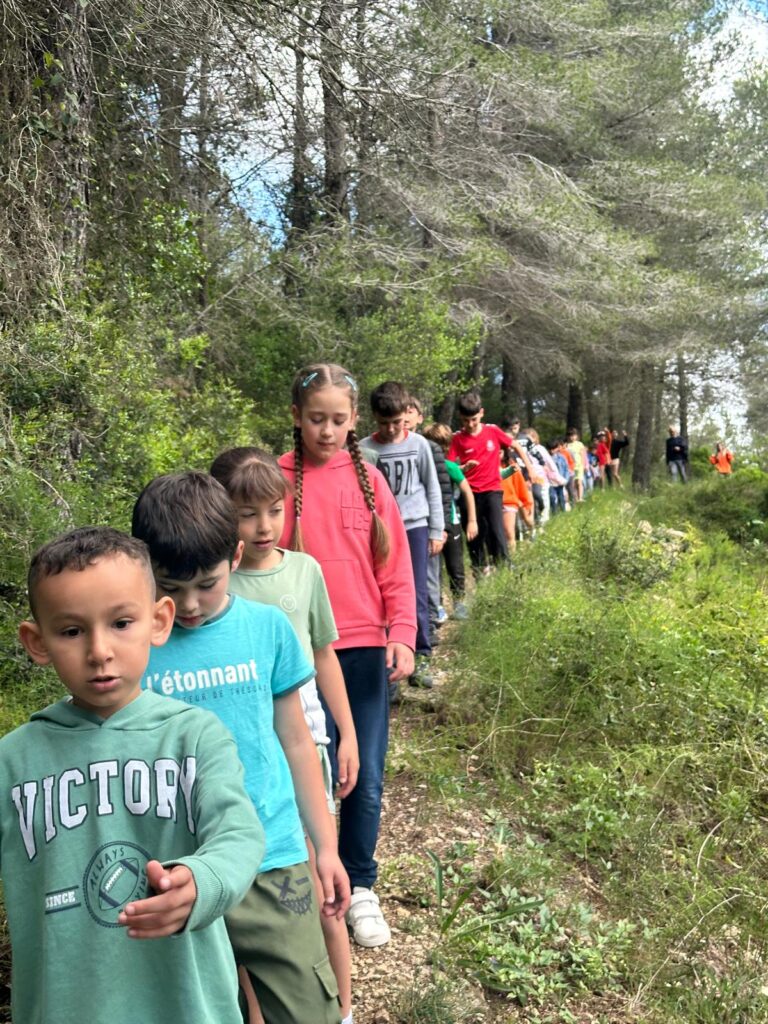 Sortida a treballar el nostre patrimoni cultural i natural 