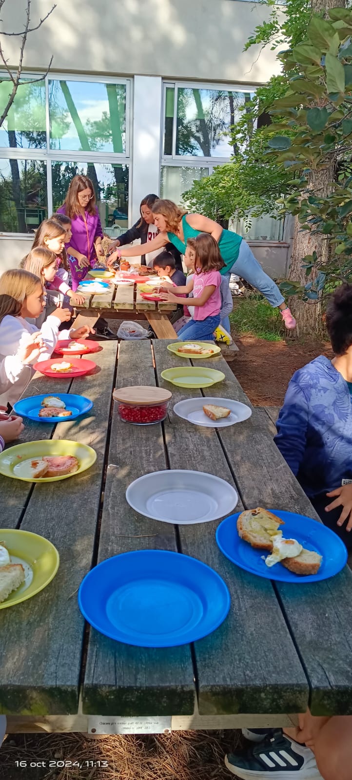 WhatsApp Image 2024-10-16 at 11.47.54