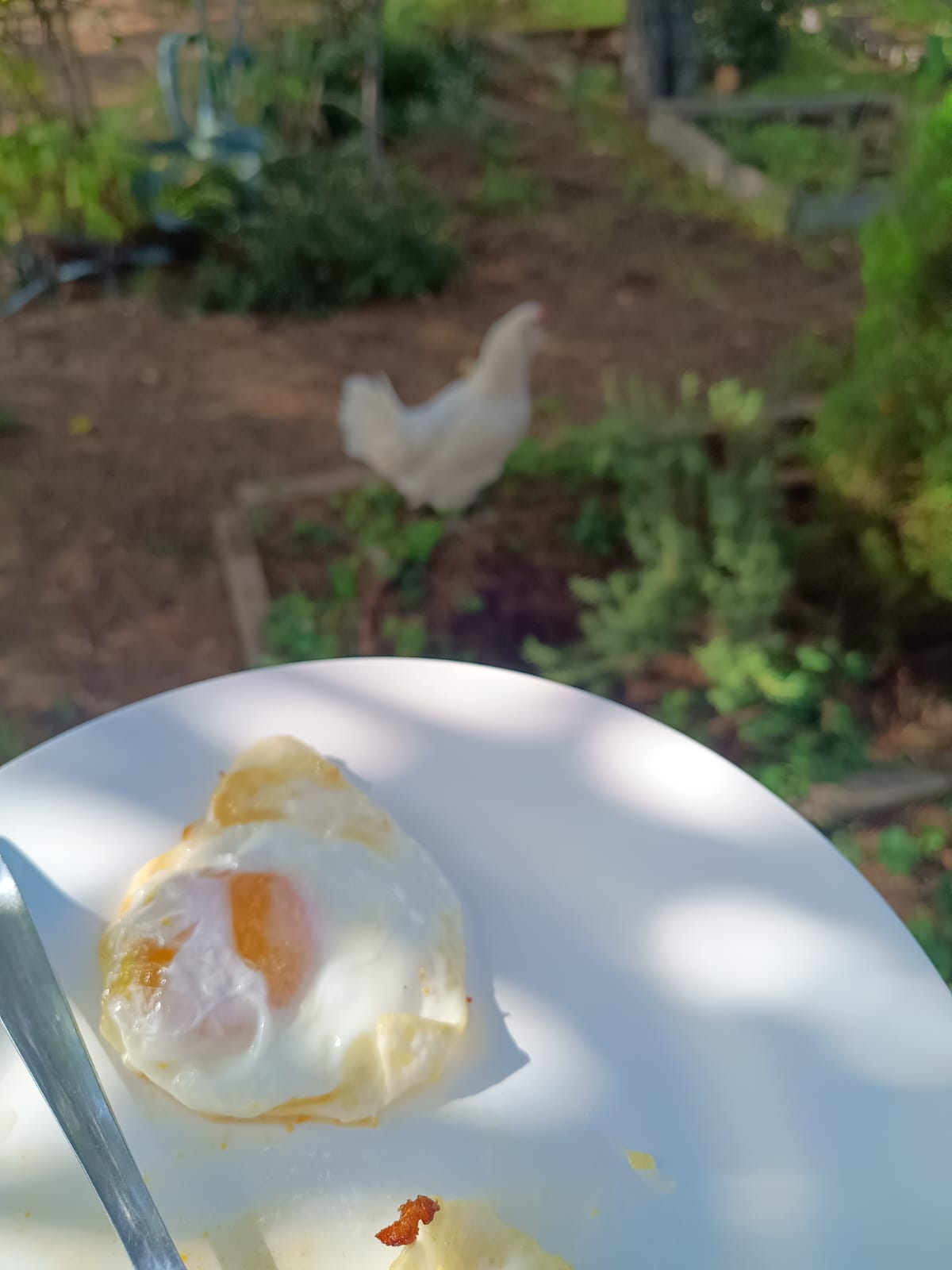 WhatsApp Image 2024-10-16 at 11.49.09