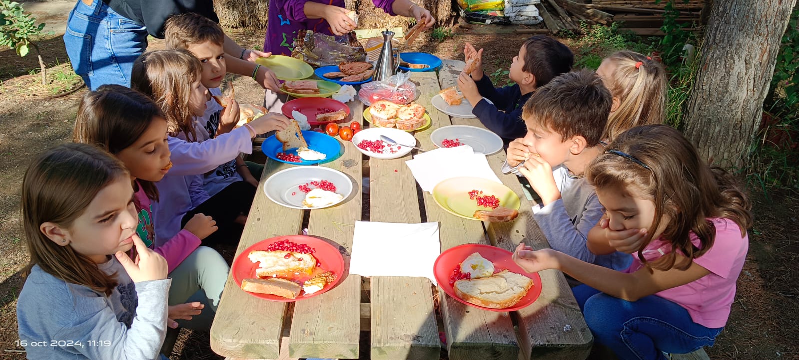 WhatsApp Image 2024-10-16 at 11.58.16