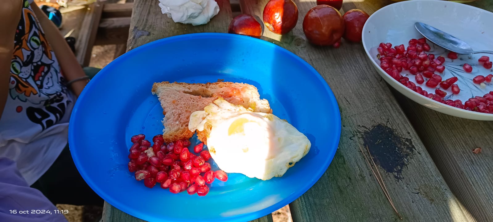 WhatsApp Image 2024-10-16 at 11.58.17