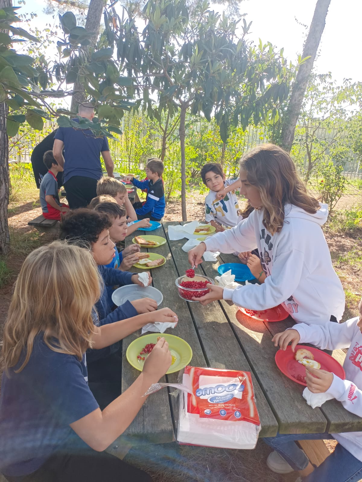 WhatsApp Image 2024-10-16 at 13.30.40