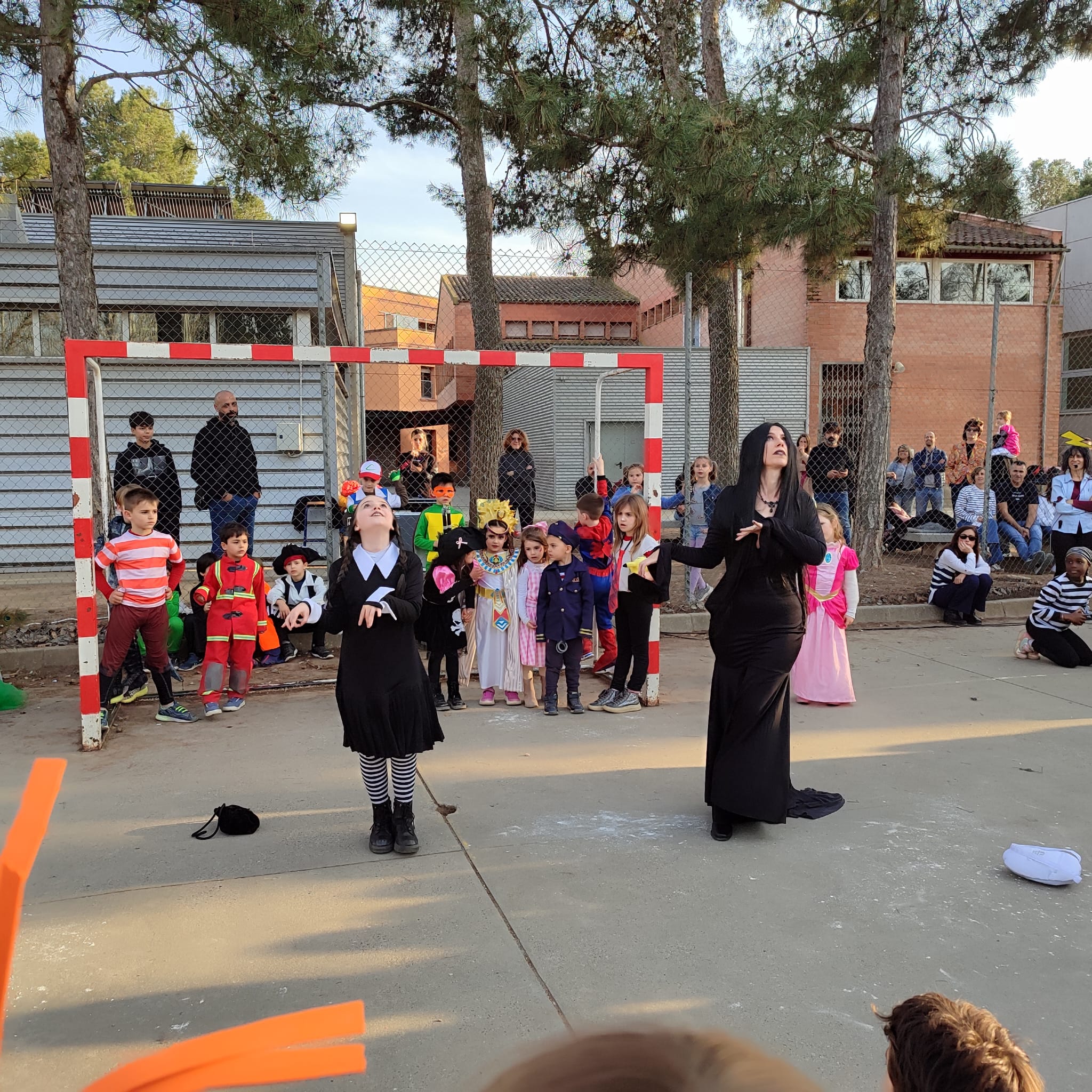 WhatsApp Image 2025-03-04 at 12.23.20 PM (2)