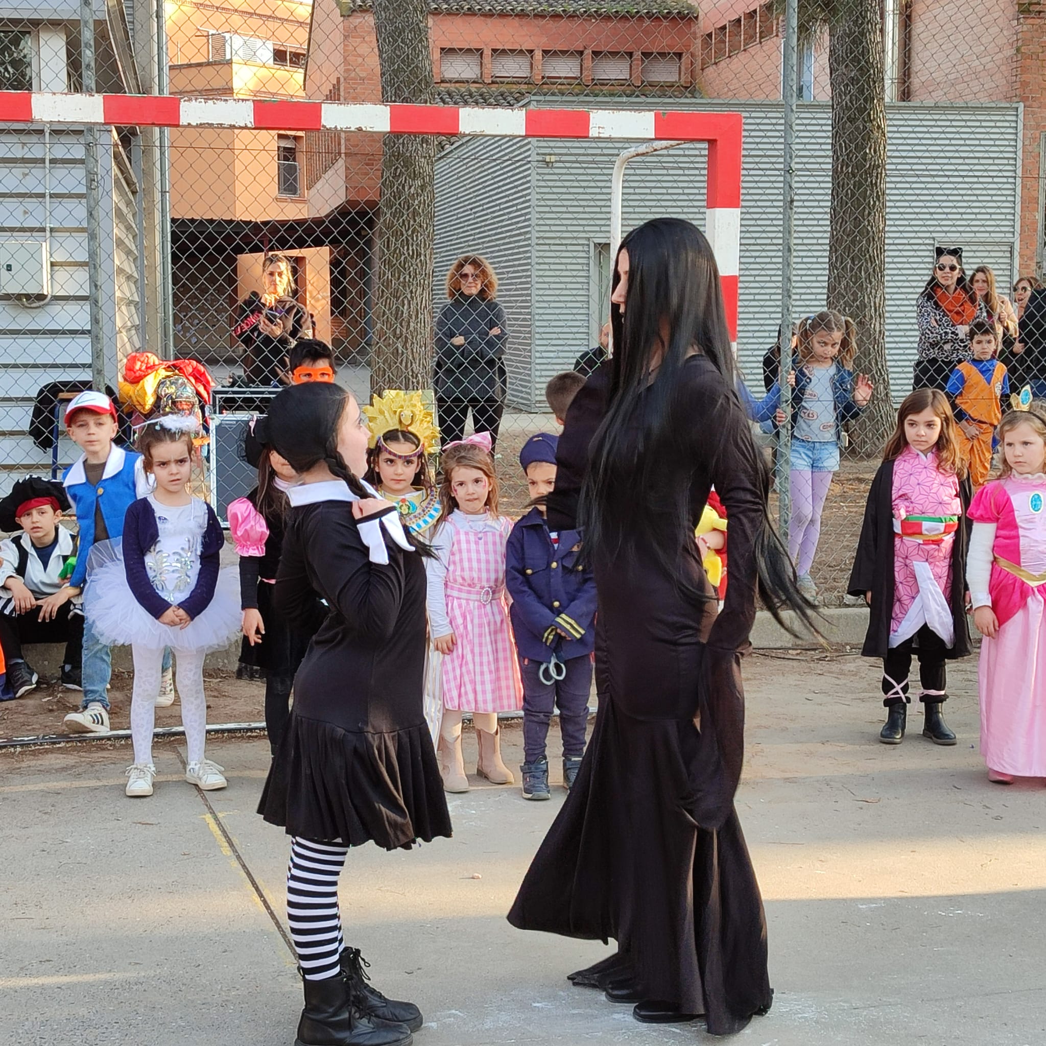 WhatsApp Image 2025-03-04 at 12.23.20 PM (3)