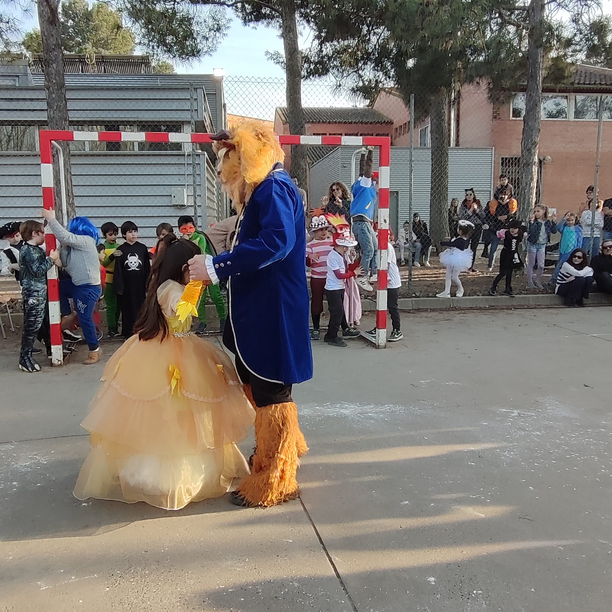 WhatsApp Image 2025-03-04 at 12.24.30 PM