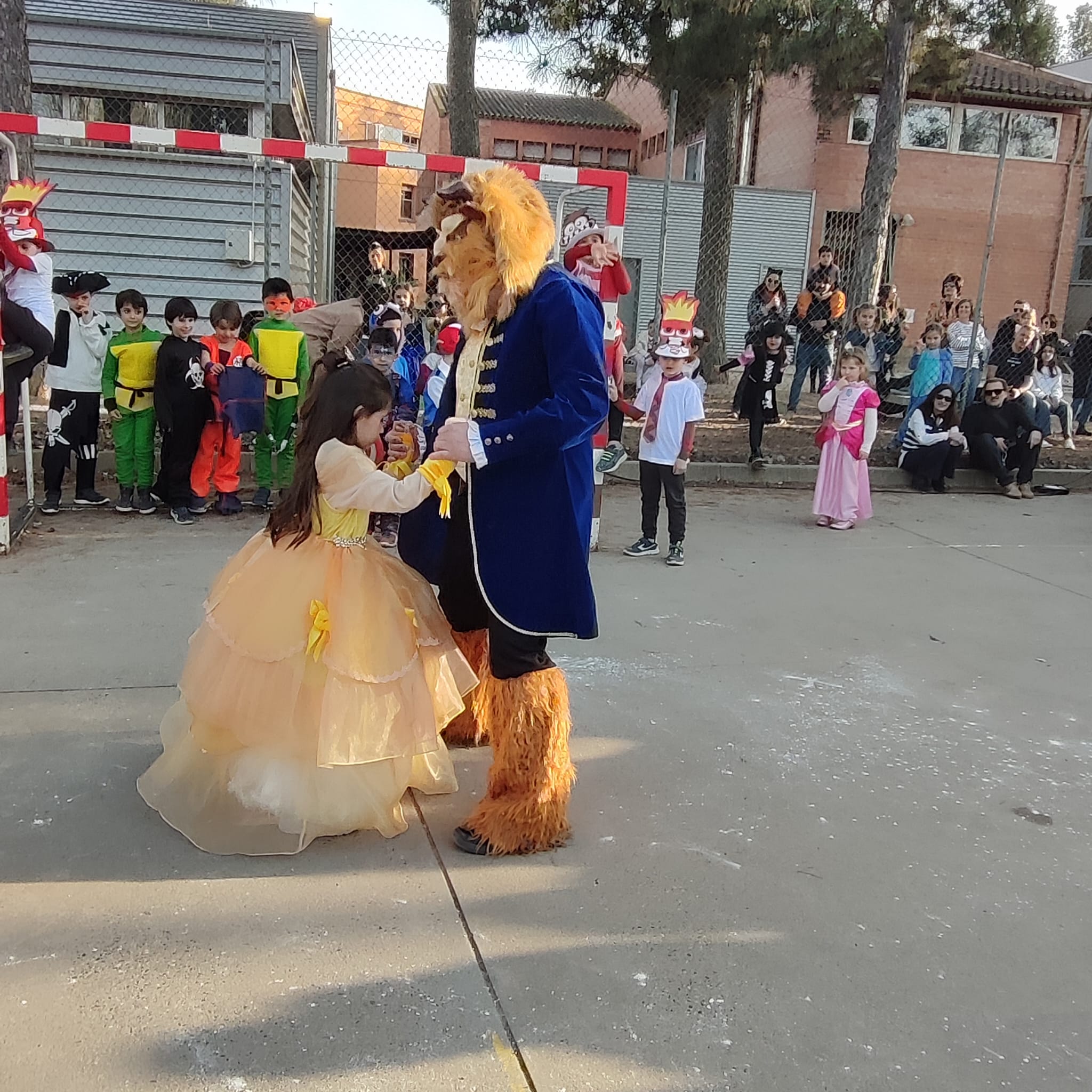 WhatsApp Image 2025-03-04 at 12.24.31 PM