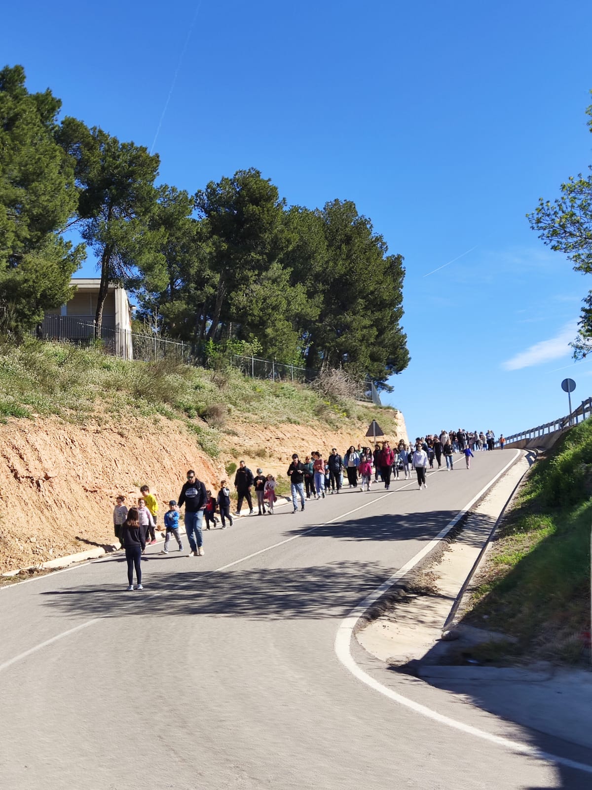 WhatsApp Image 2025-03-30 at 11.54.42 AM (1)