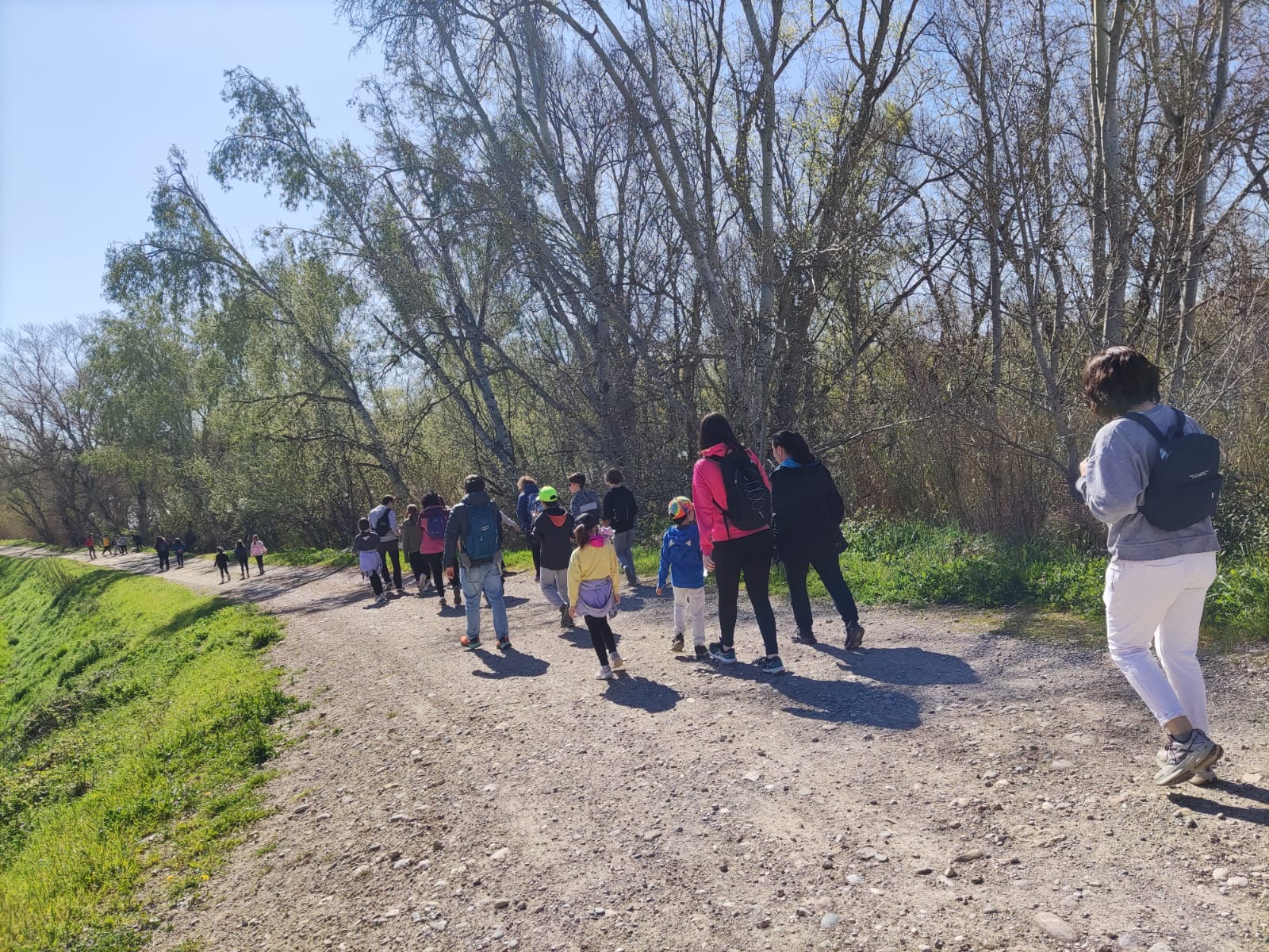 WhatsApp Image 2025-03-30 at 11.54.43 AM (2)