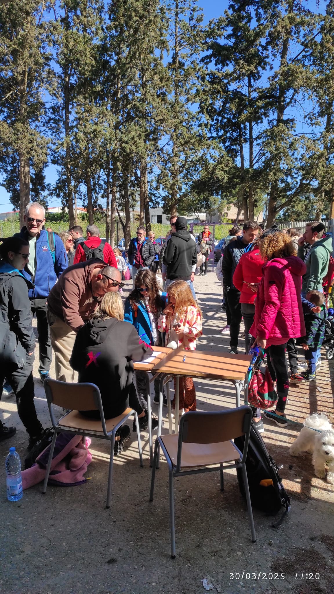 WhatsApp Image 2025-03-31 at 8.57.14 AM (1)