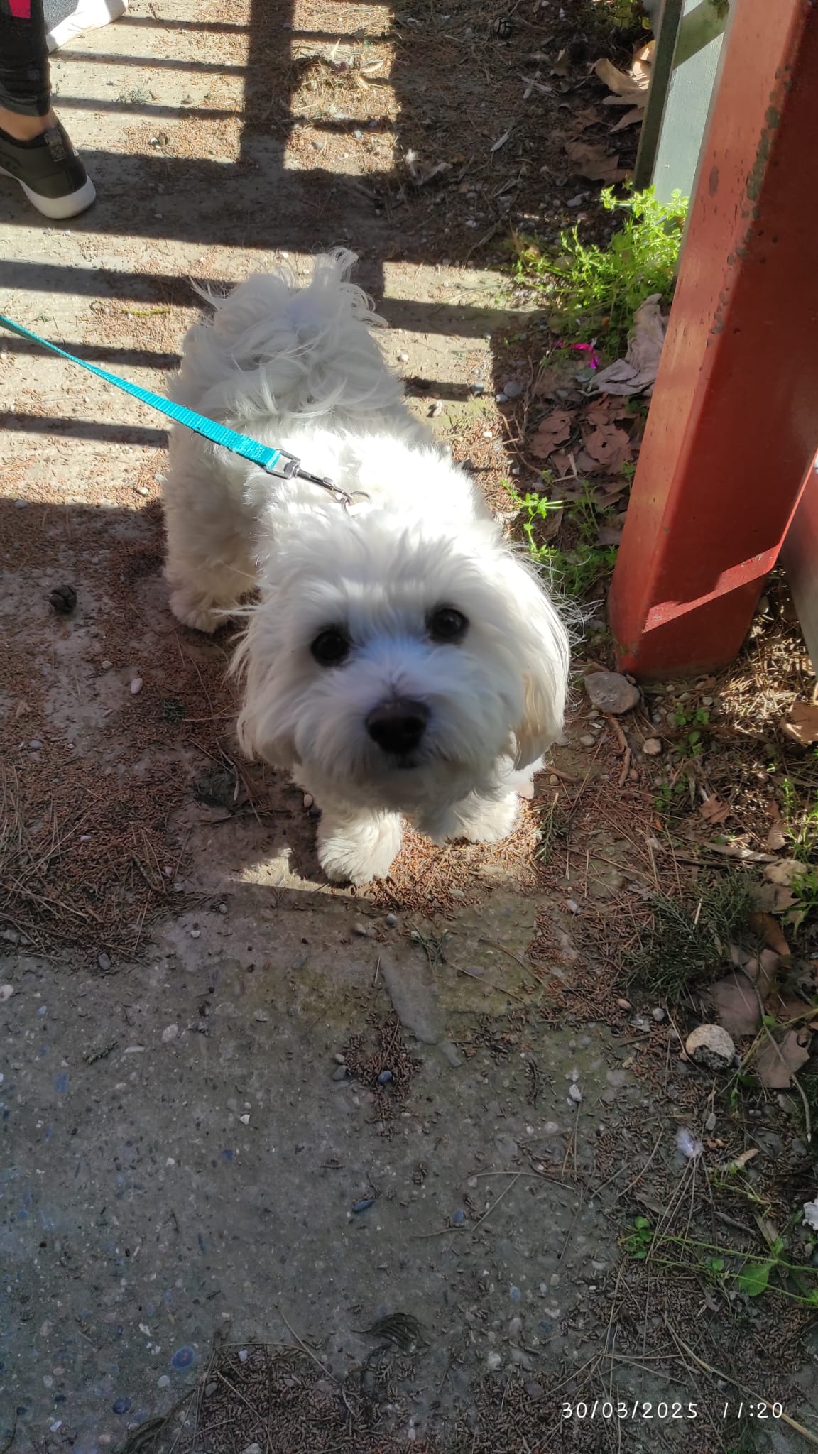 WhatsApp Image 2025-03-31 at 8.57.14 AM