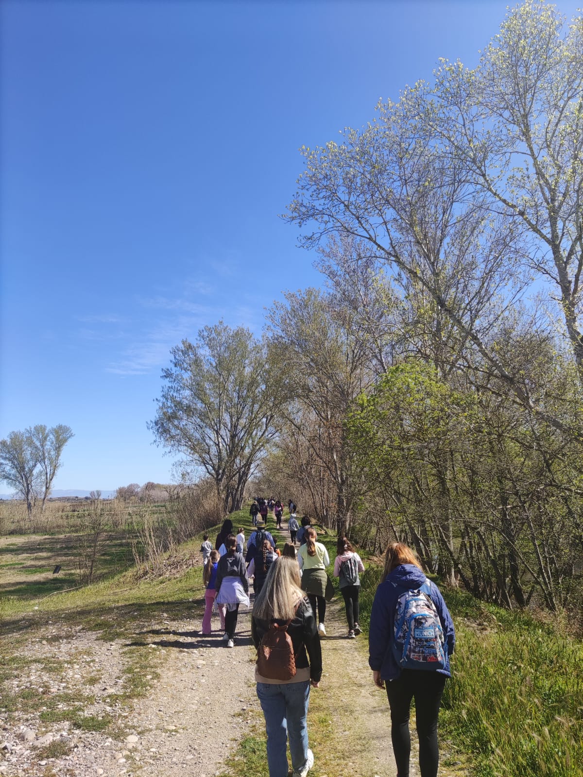 WhatsApp Image 2025-03-31 at 8.58.10 AM (1)