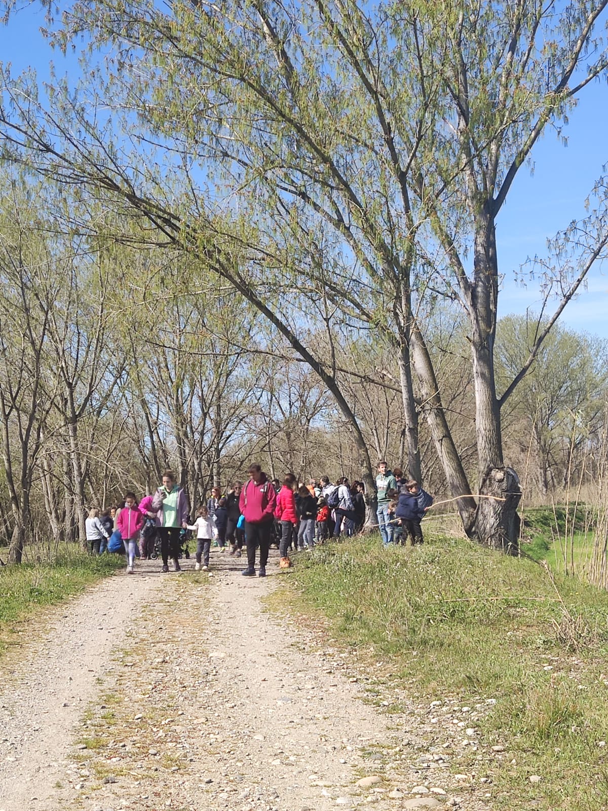 WhatsApp Image 2025-03-31 at 8.58.10 AM (2)