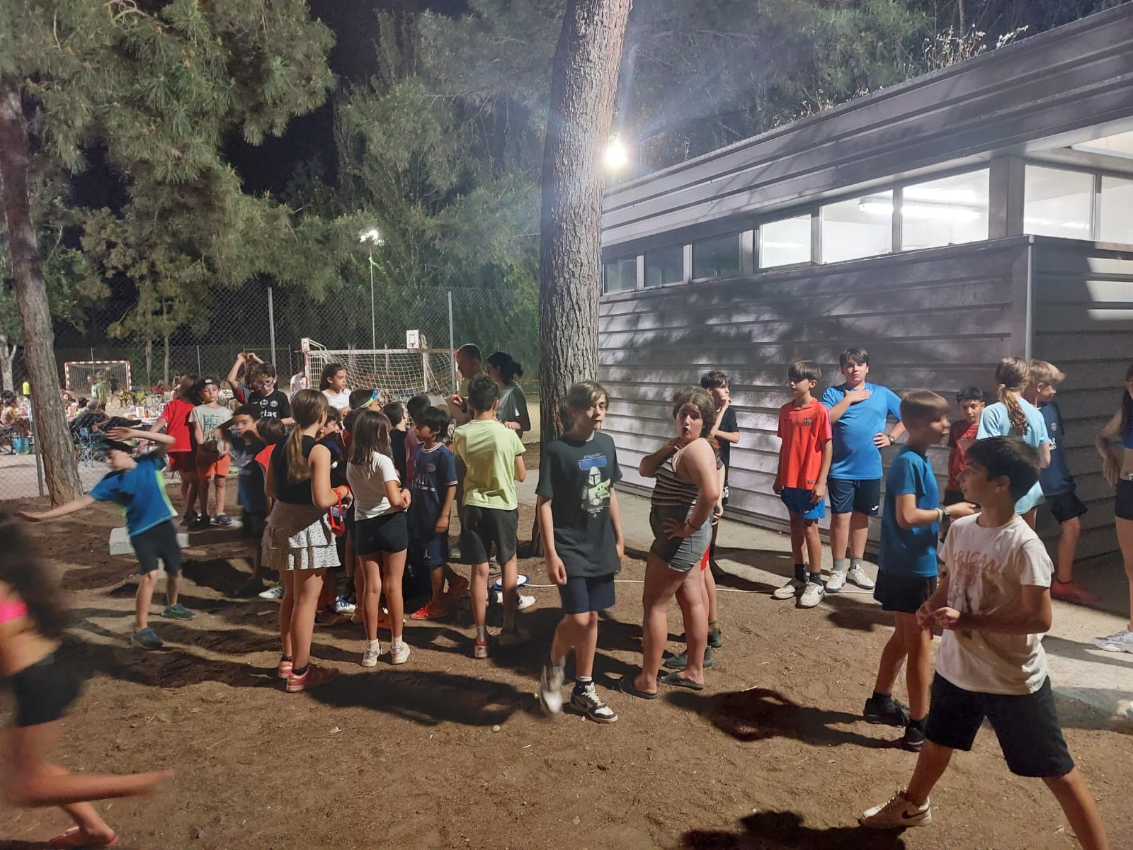 WhatsApp Image 2025-06-01 at 11.31.09 AM (1)