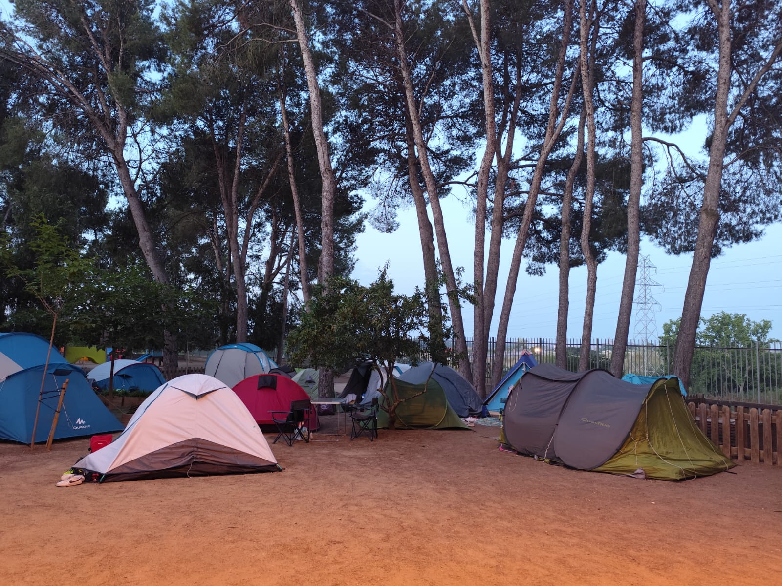 WhatsApp Image 2025-06-01 at 11.31.10 AM (3)