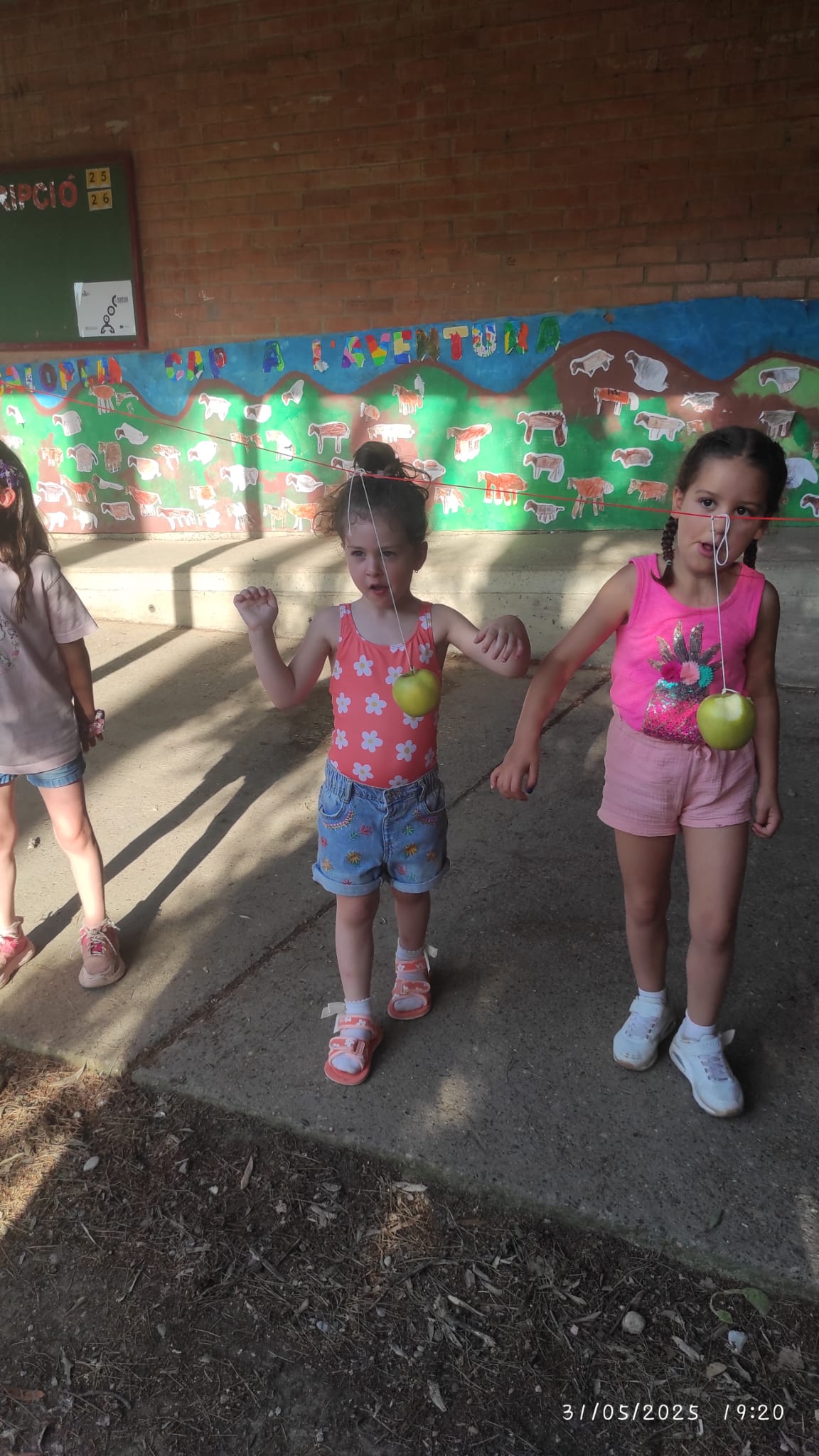 WhatsApp Image 2025-06-02 at 11.37.16 AM (1)