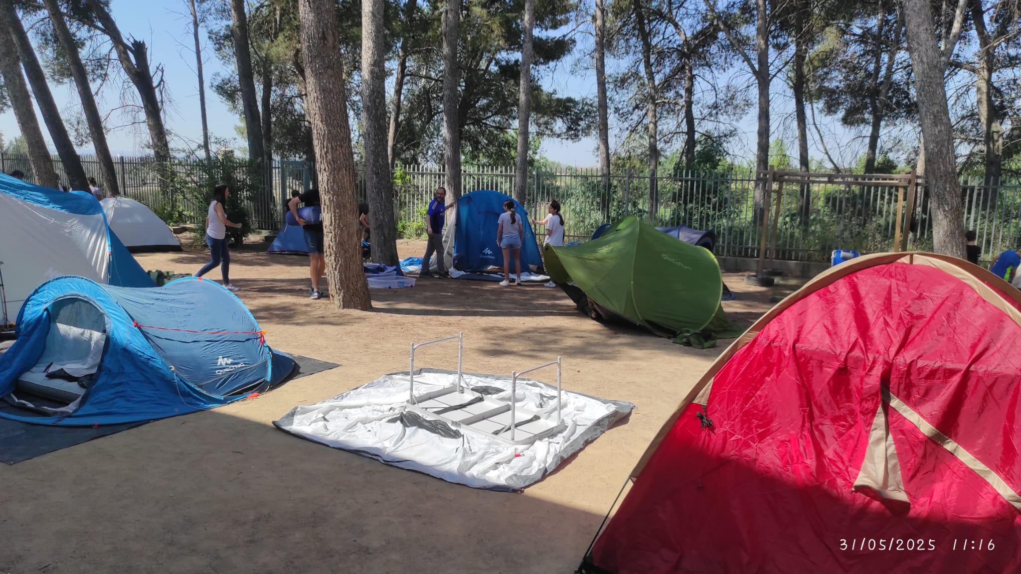 WhatsApp Image 2025-06-02 at 11.37.17 AM (1)