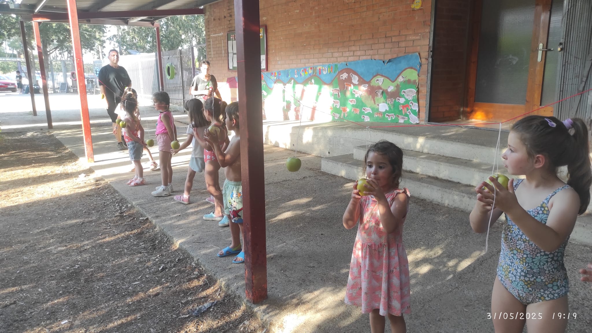 WhatsApp Image 2025-06-02 at 11.37.17 AM