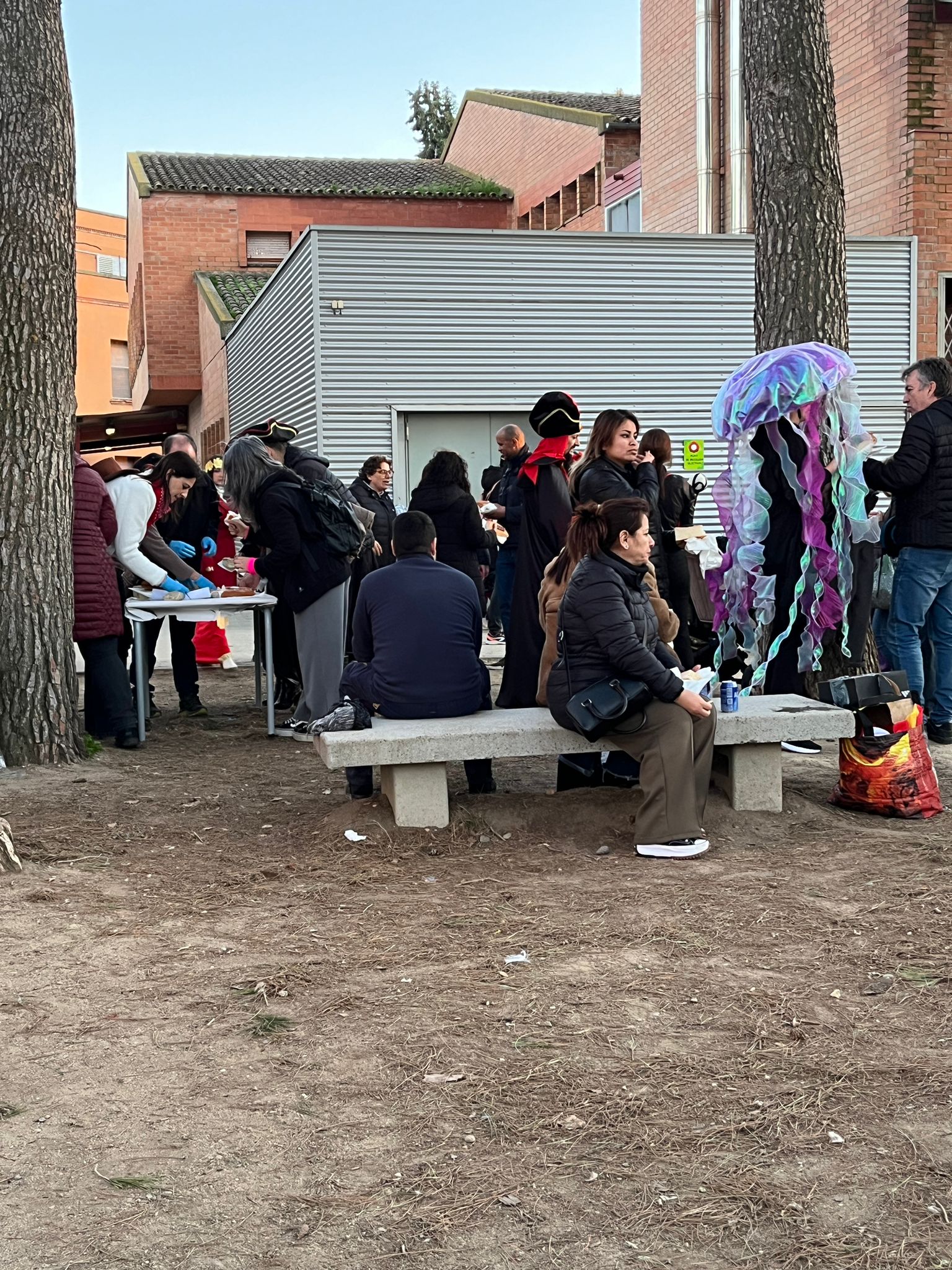 WhatsApp Image 2026-02-23 at 8.51.17 AM