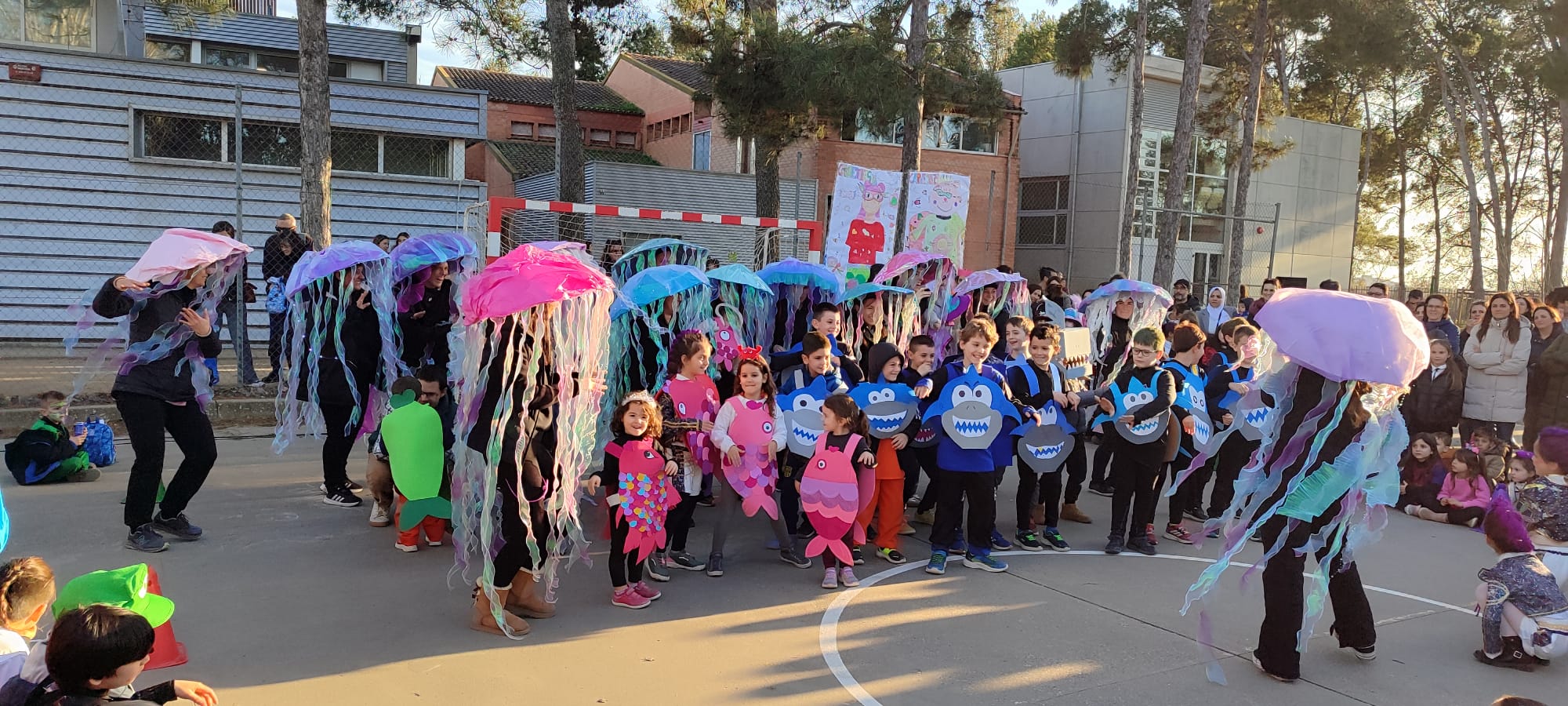 WhatsApp Image 2026-02-23 at 8.51.45 AM (5)