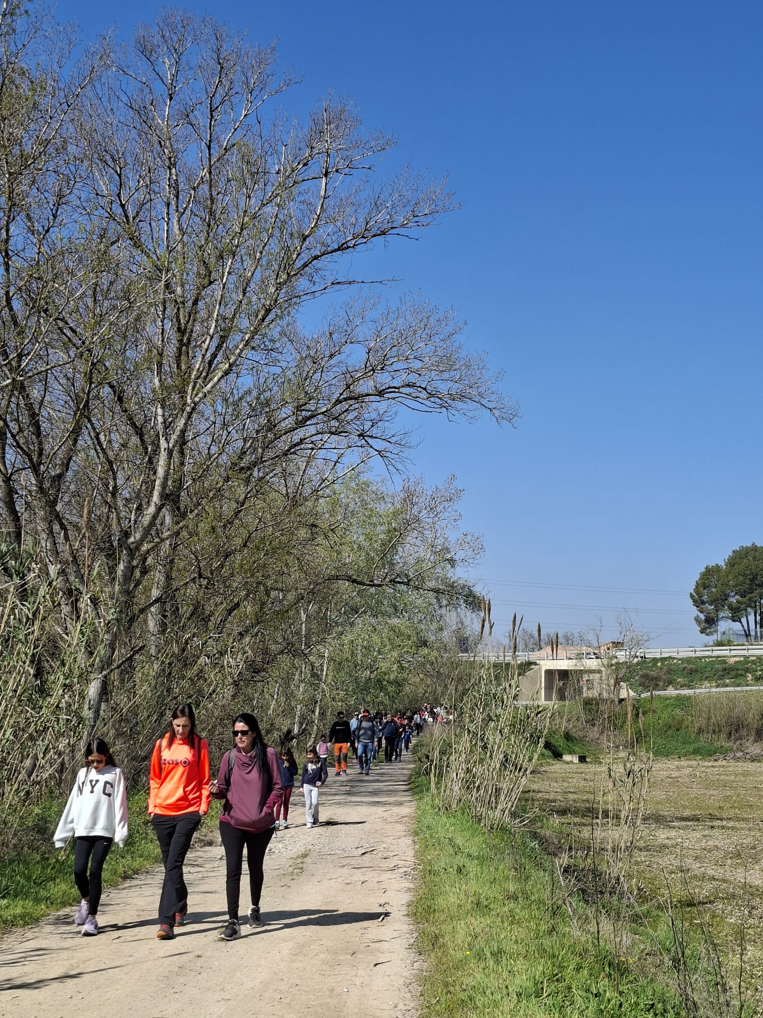 WhatsApp Image 2026-03-23 at 10.54.14 AM (2)