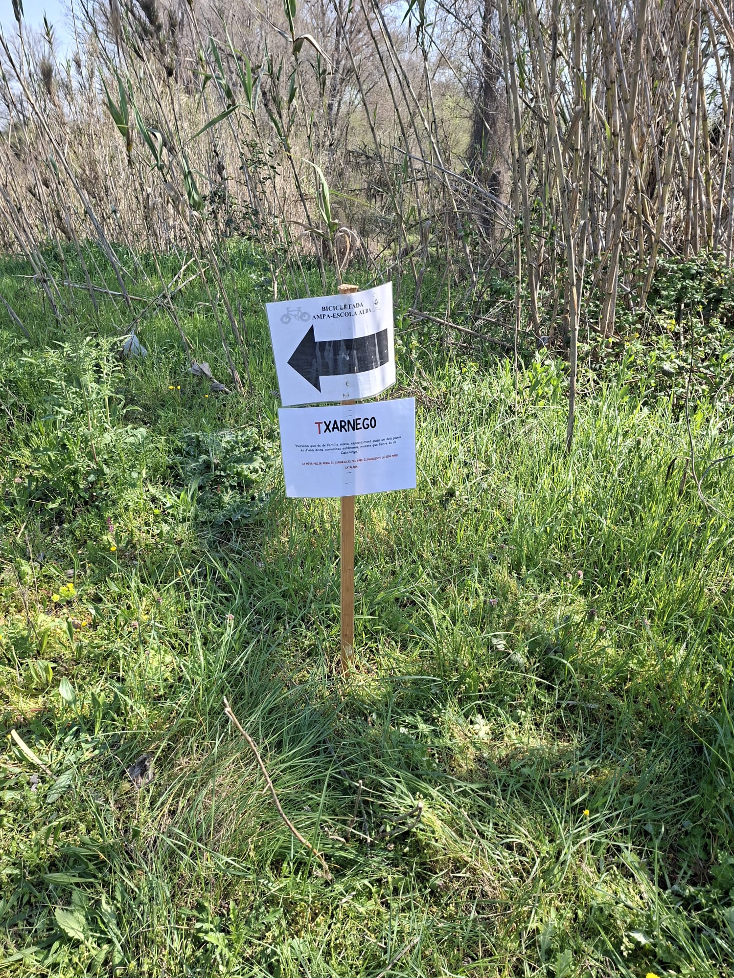 WhatsApp Image 2026-03-23 at 10.54.14 AM (3)