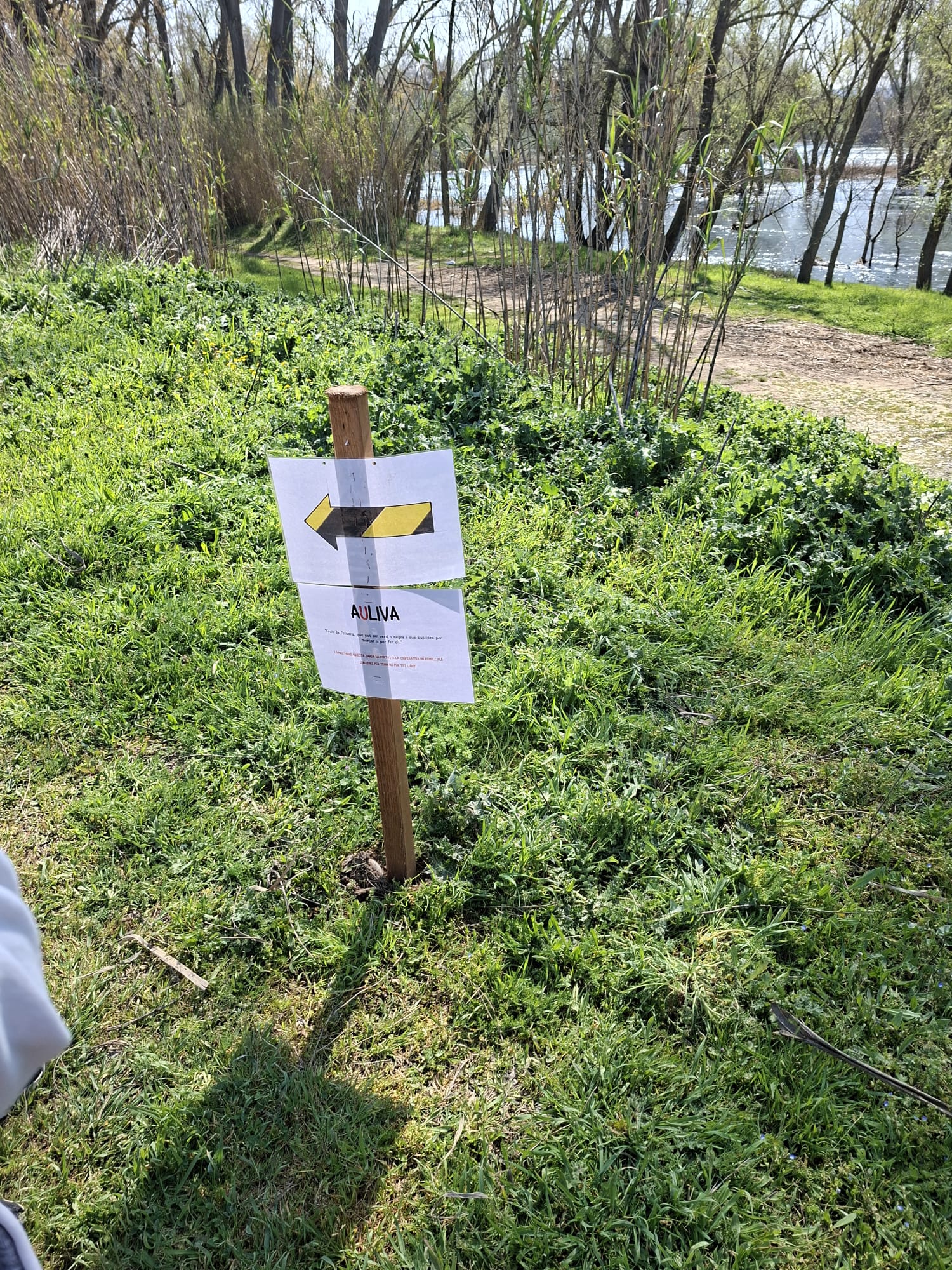 WhatsApp Image 2026-03-23 at 10.54.14 AM (4)