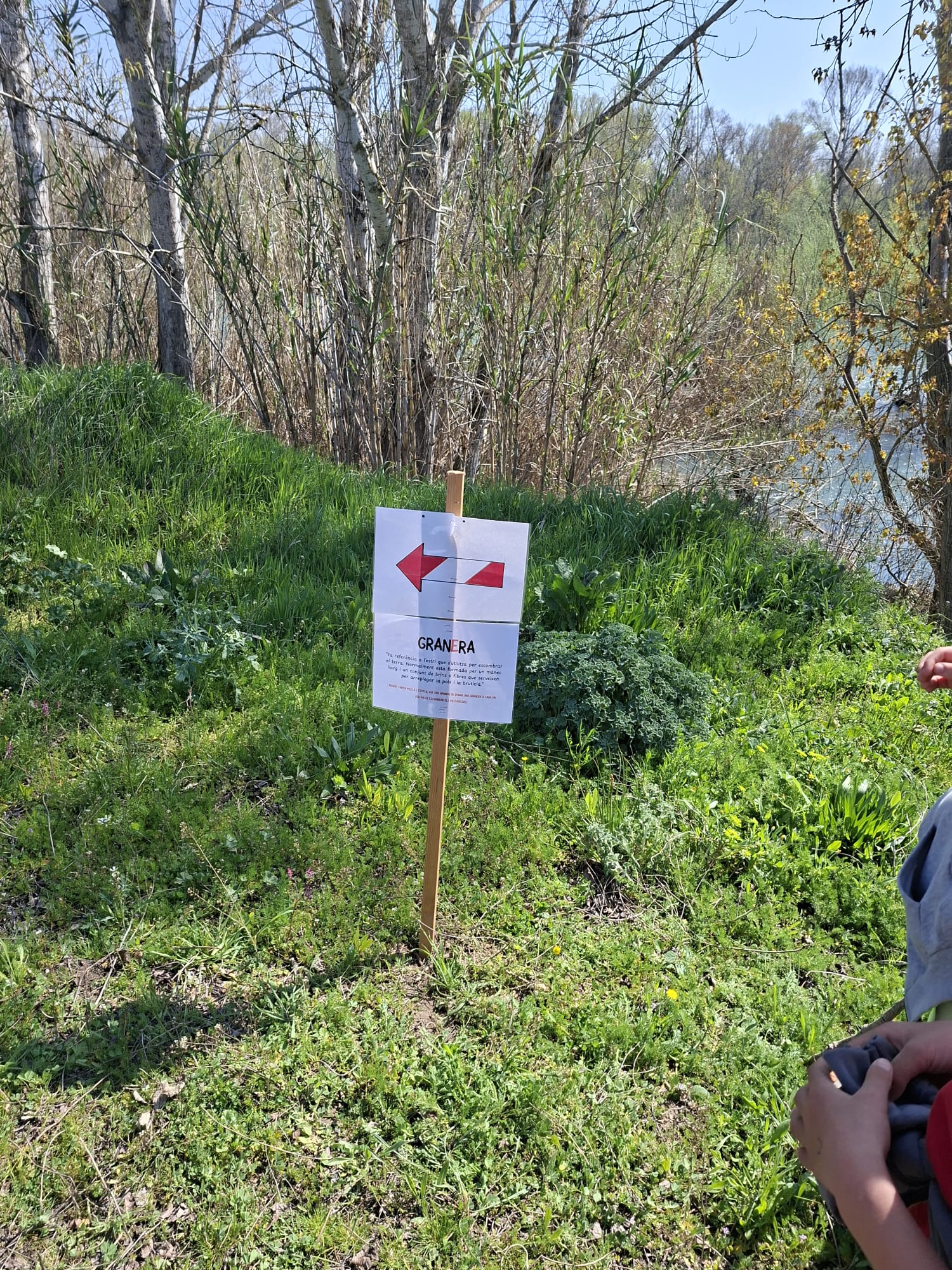 WhatsApp Image 2026-03-23 at 10.54.15 AM (2)