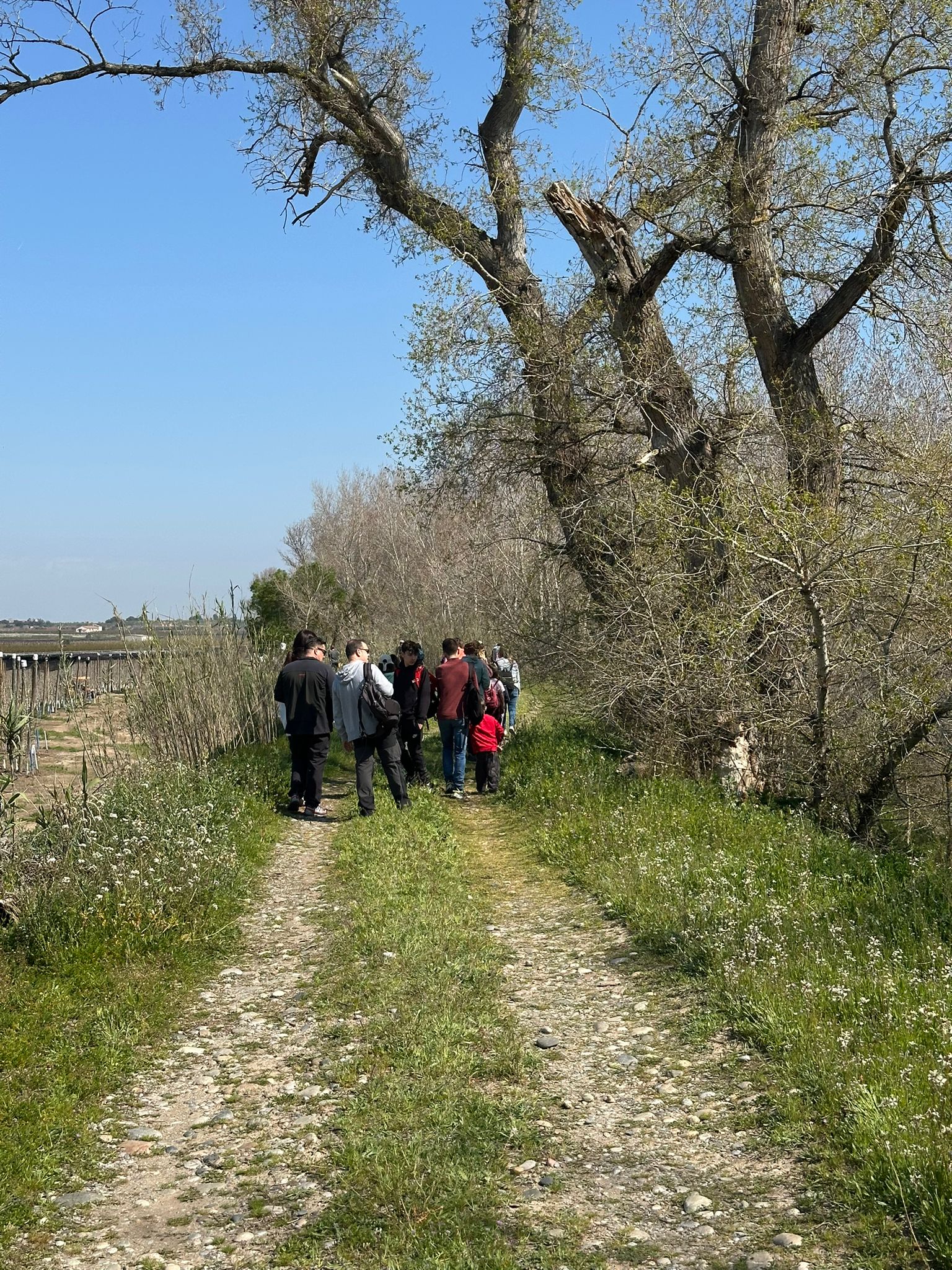 WhatsApp Image 2026-03-23 at 2.02.18 PM