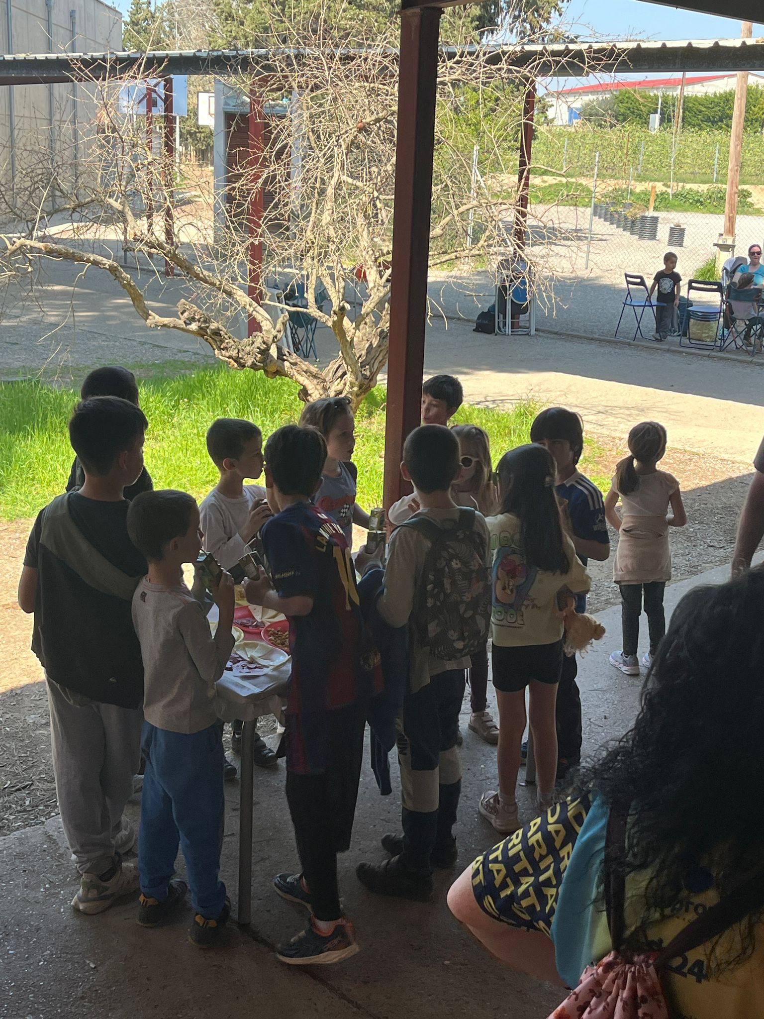 WhatsApp Image 2026-03-23 at 9.41.52 AM (1)