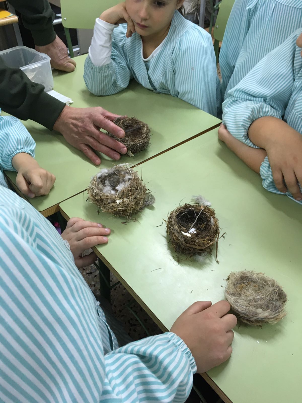 2017-11-14-PHOTO-00000105