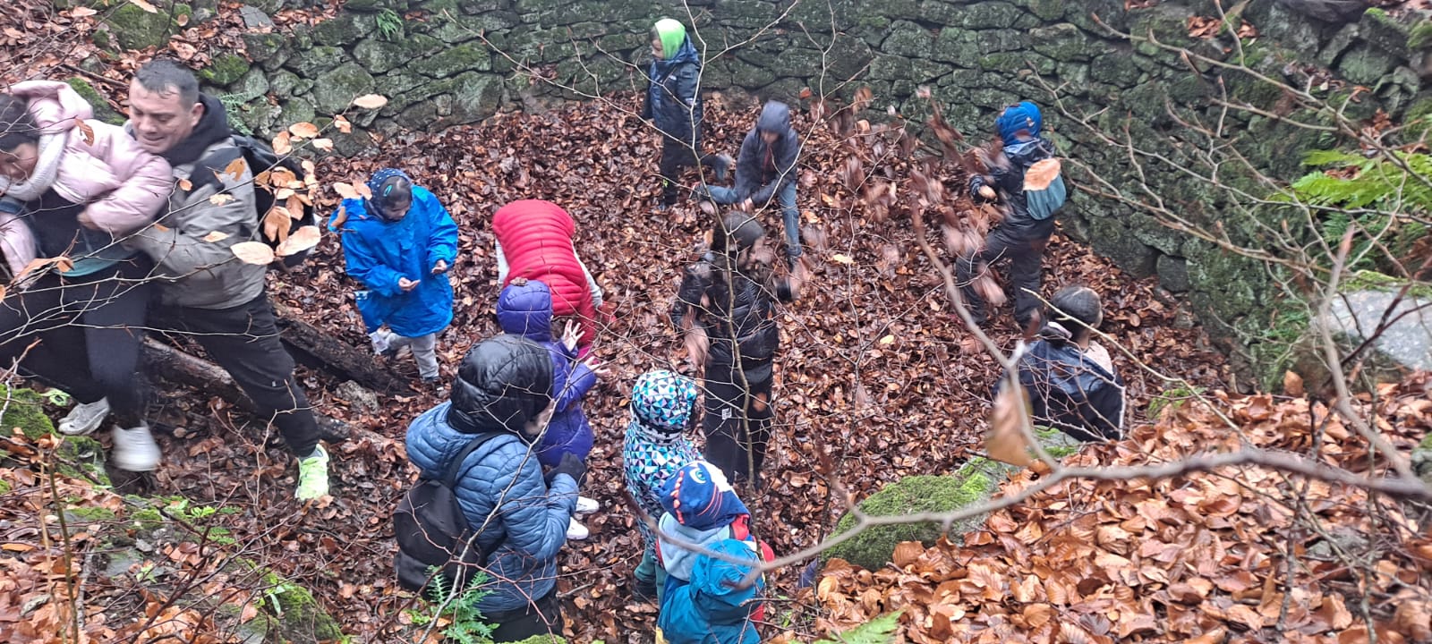 Imatge de WhatsApp 2024-11-24 a les 14.07.17_b84f76be