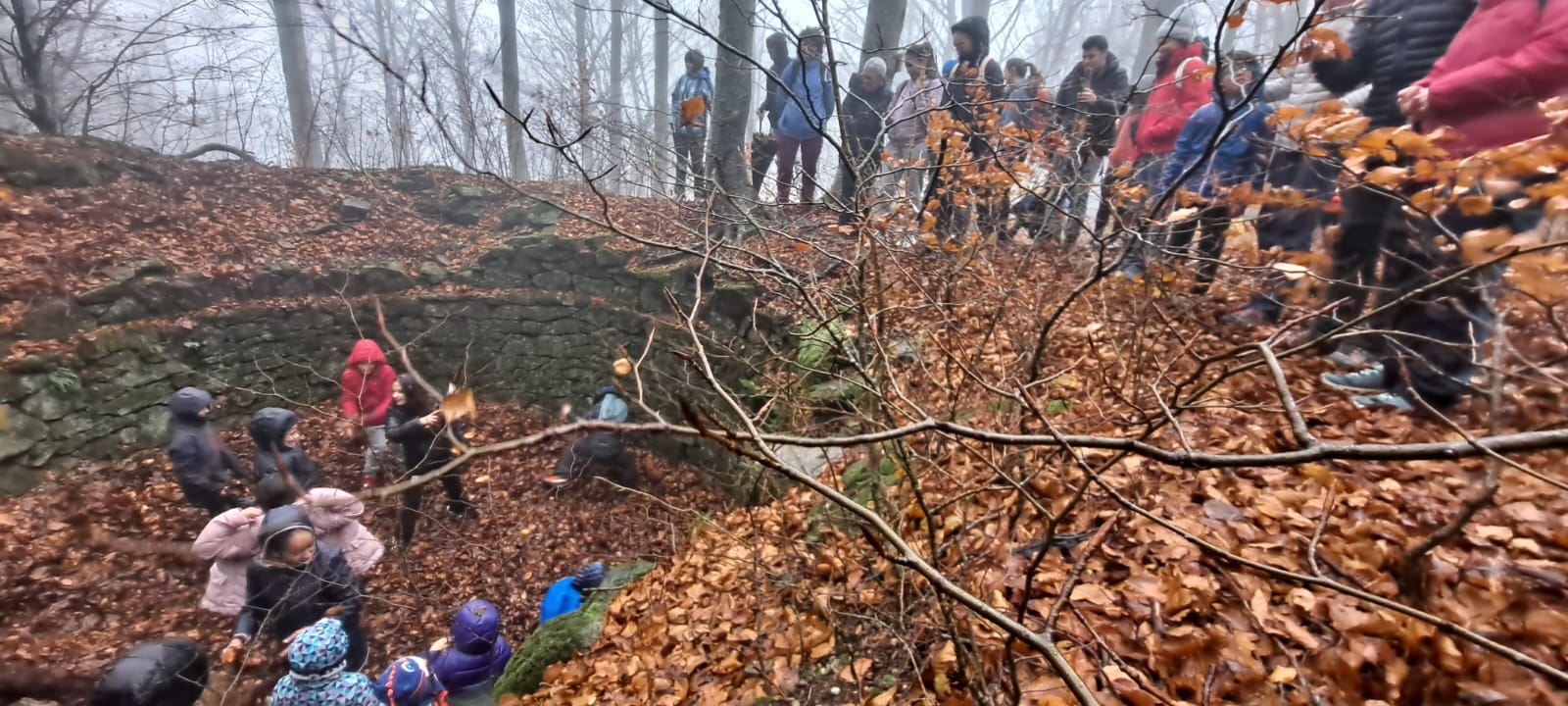 Imatge de WhatsApp 2024-11-24 a les 14.07.18_3dbb9fac