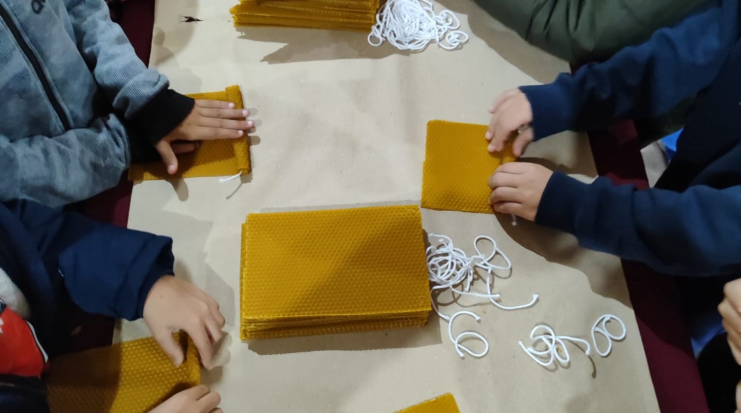 WhatsApp Image 2024-11-25 at 21.31.22