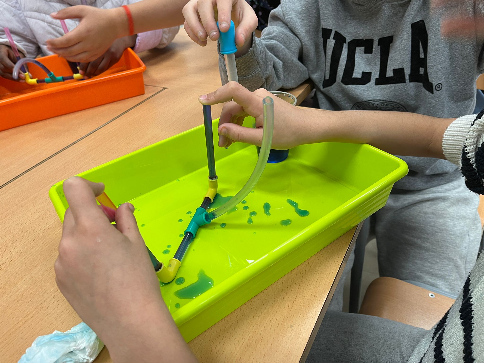 WhatsApp Image 2025-02-06 at 13.37.41 (1)